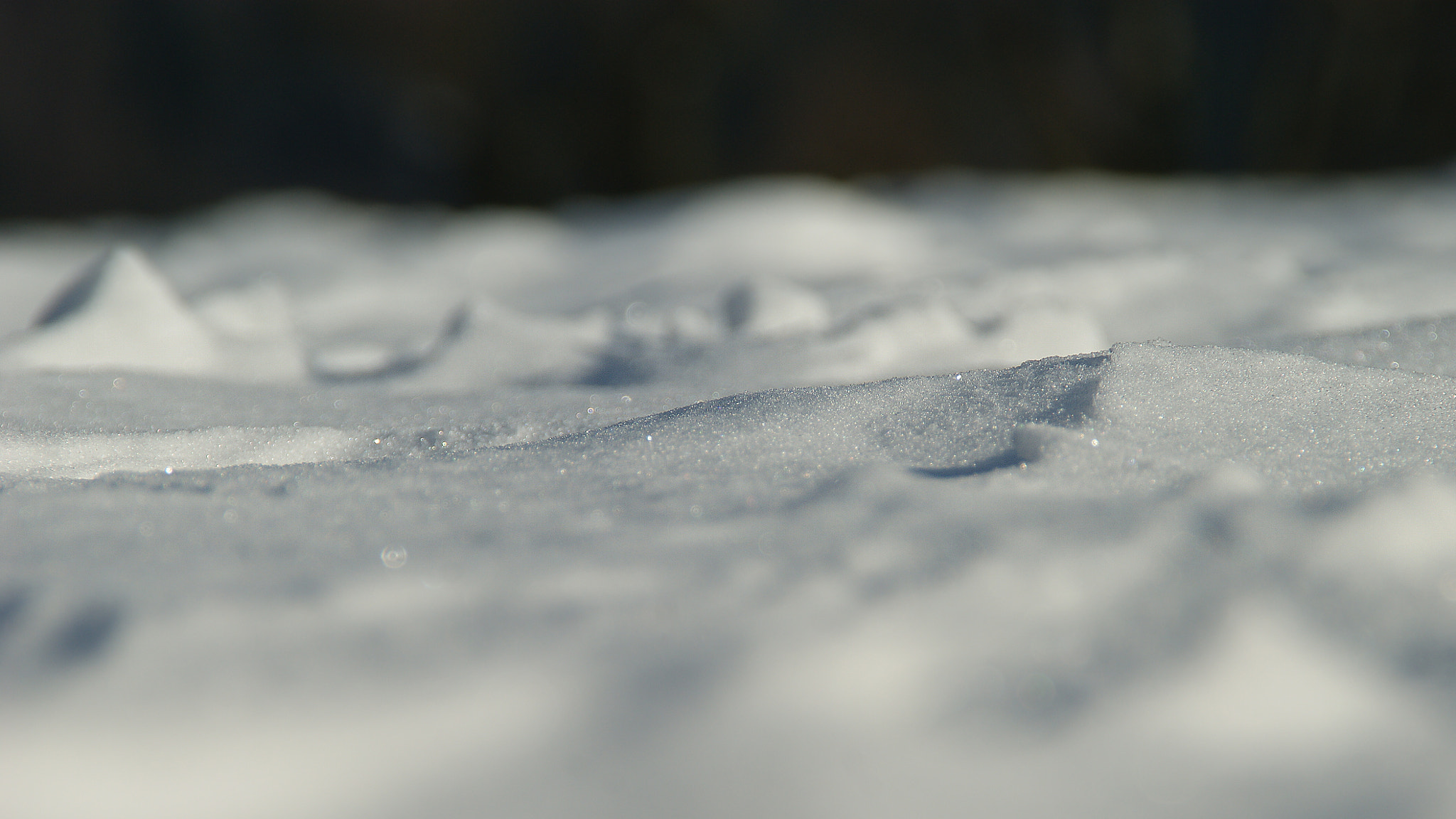 Sony Alpha DSLR-A290 sample photo. S n o w in focus photography