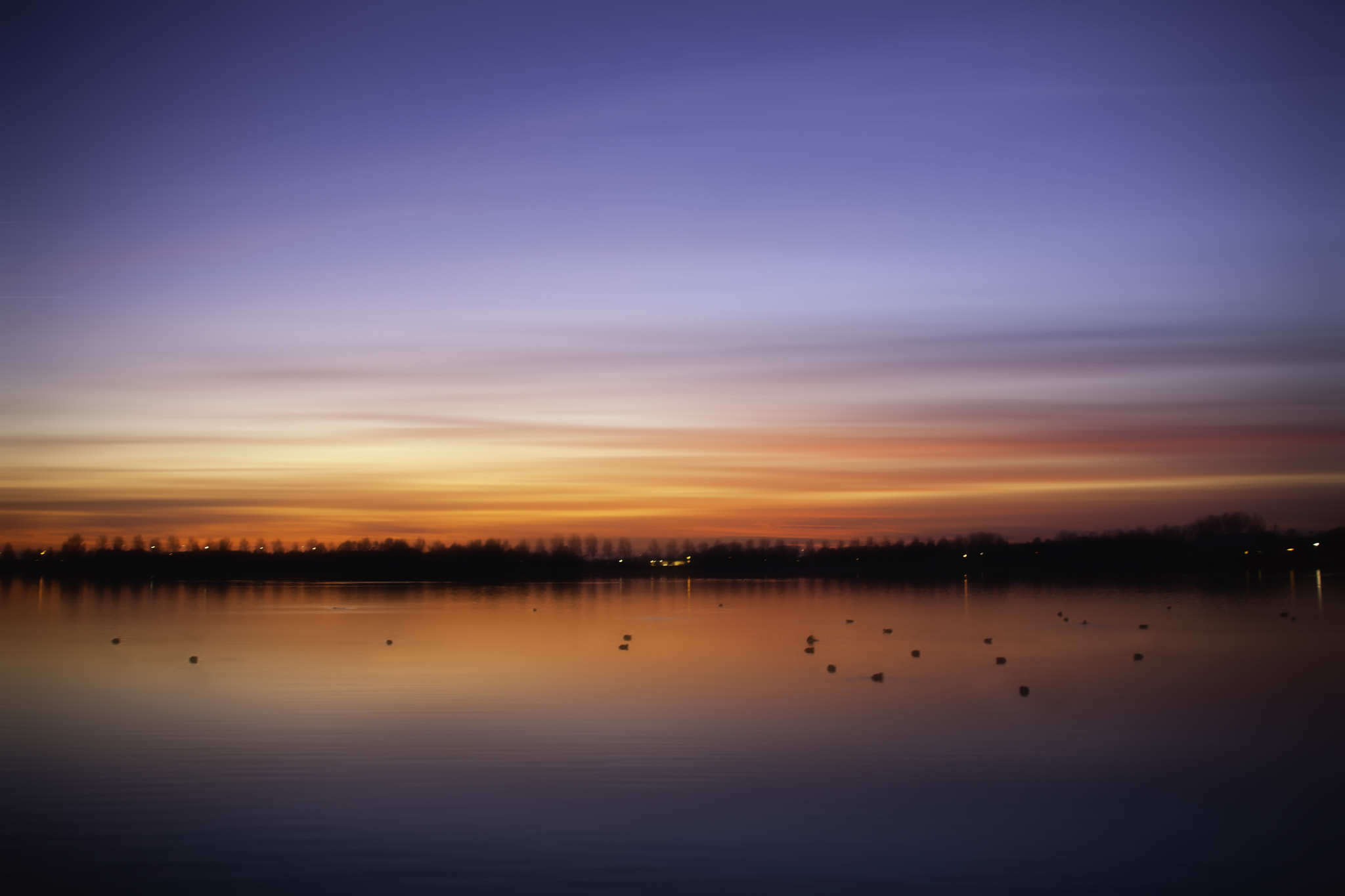 Sigma 18-200mm f/3.5-6.3 DC OS sample photo. Favourite color photography