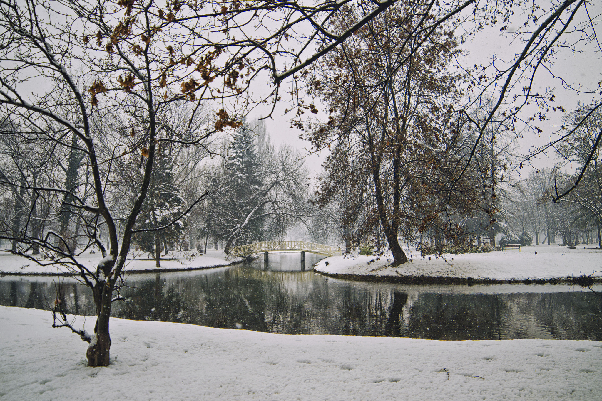 Samyang 14mm F2.8 ED AS IF UMC sample photo. Winter wonderland photography