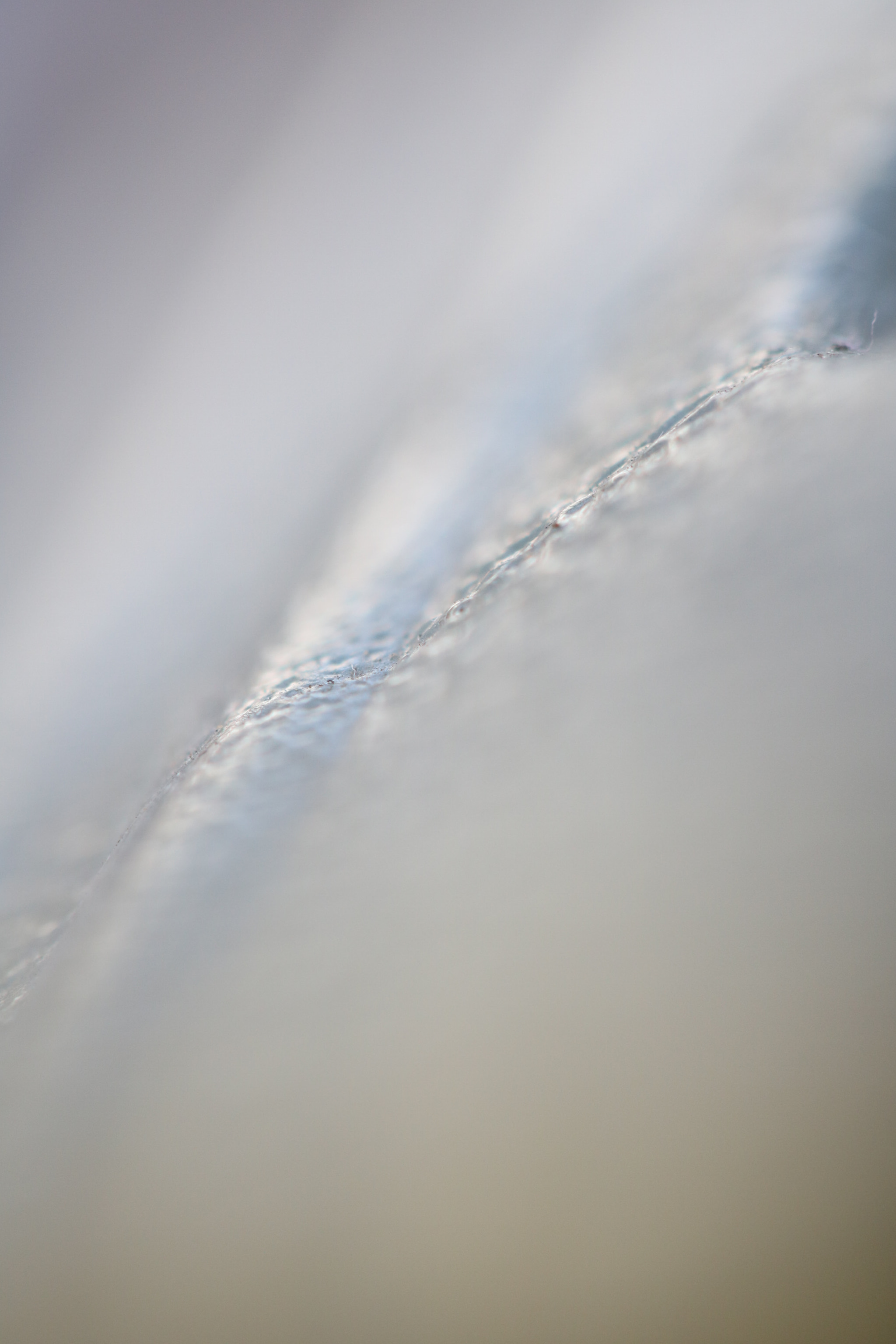 Canon EF 100mm F2.8L Macro IS USM sample photo. Inside the icicle photography