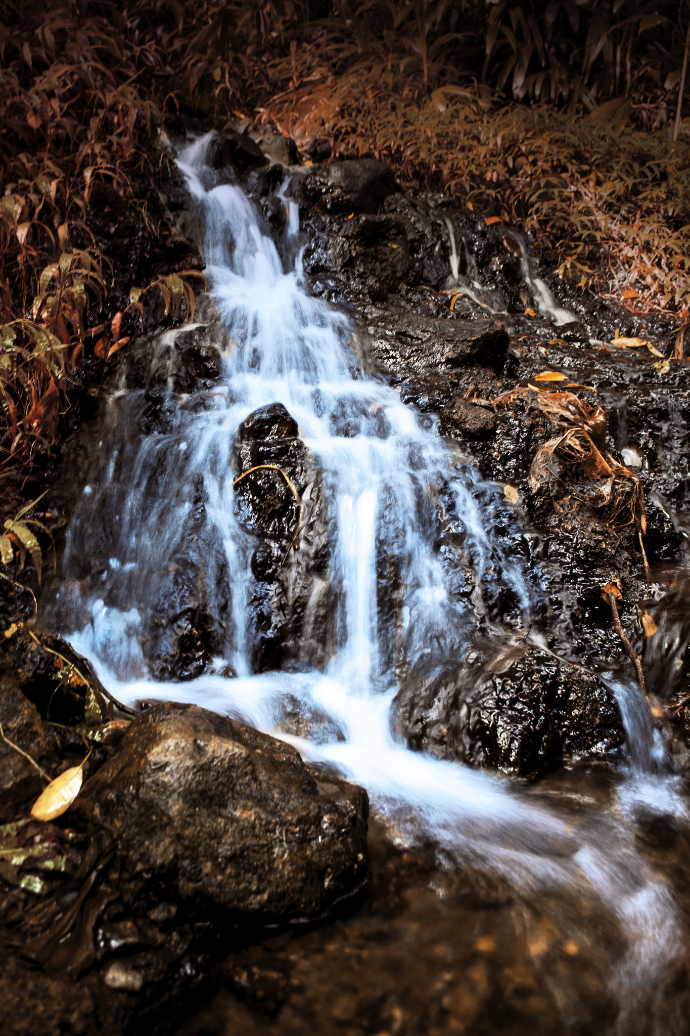 Pentax smc DA 18-55mm F3.5-5.6 AL WR sample photo. Redwat photography