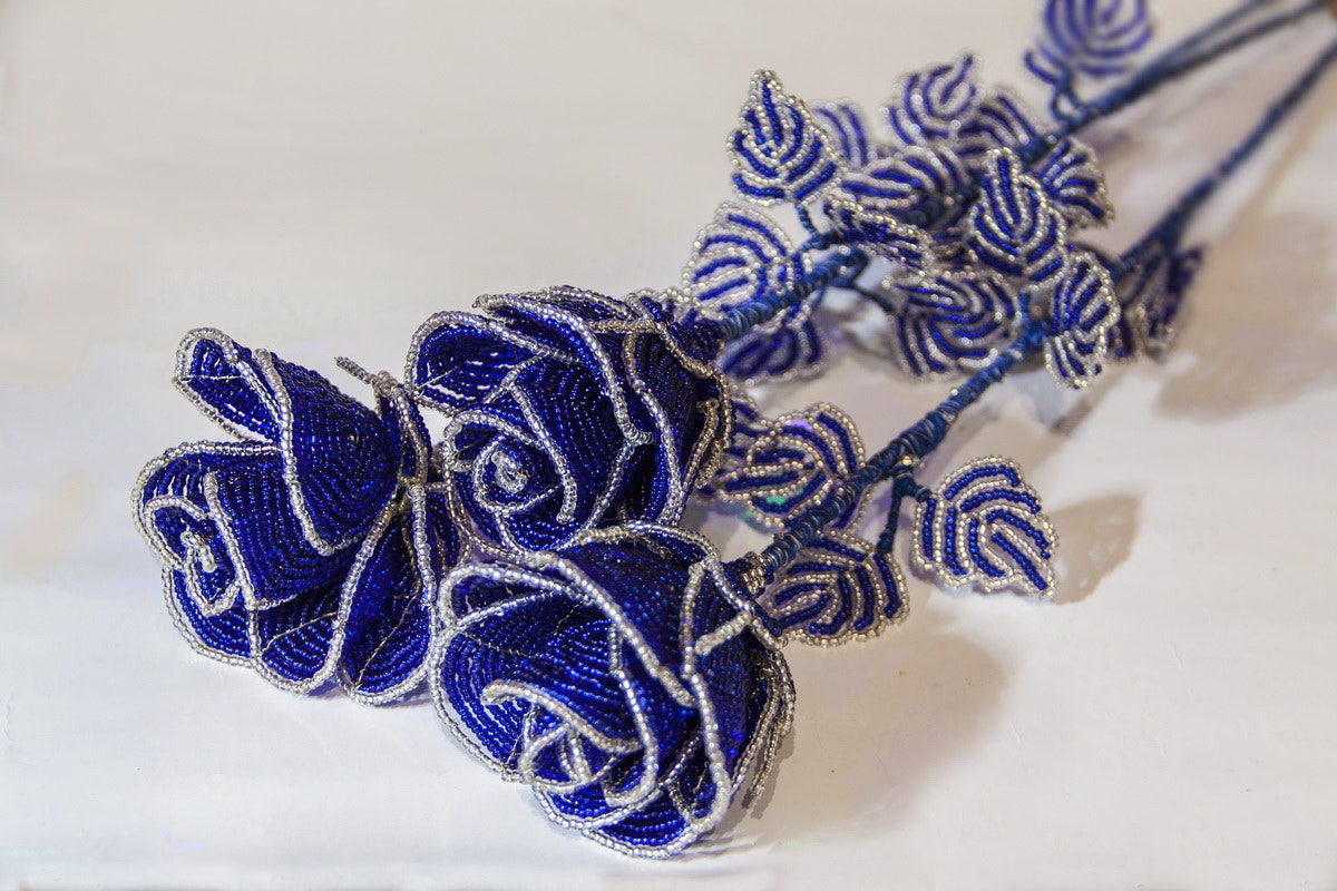 Canon EOS 50D sample photo. Ice roses photography