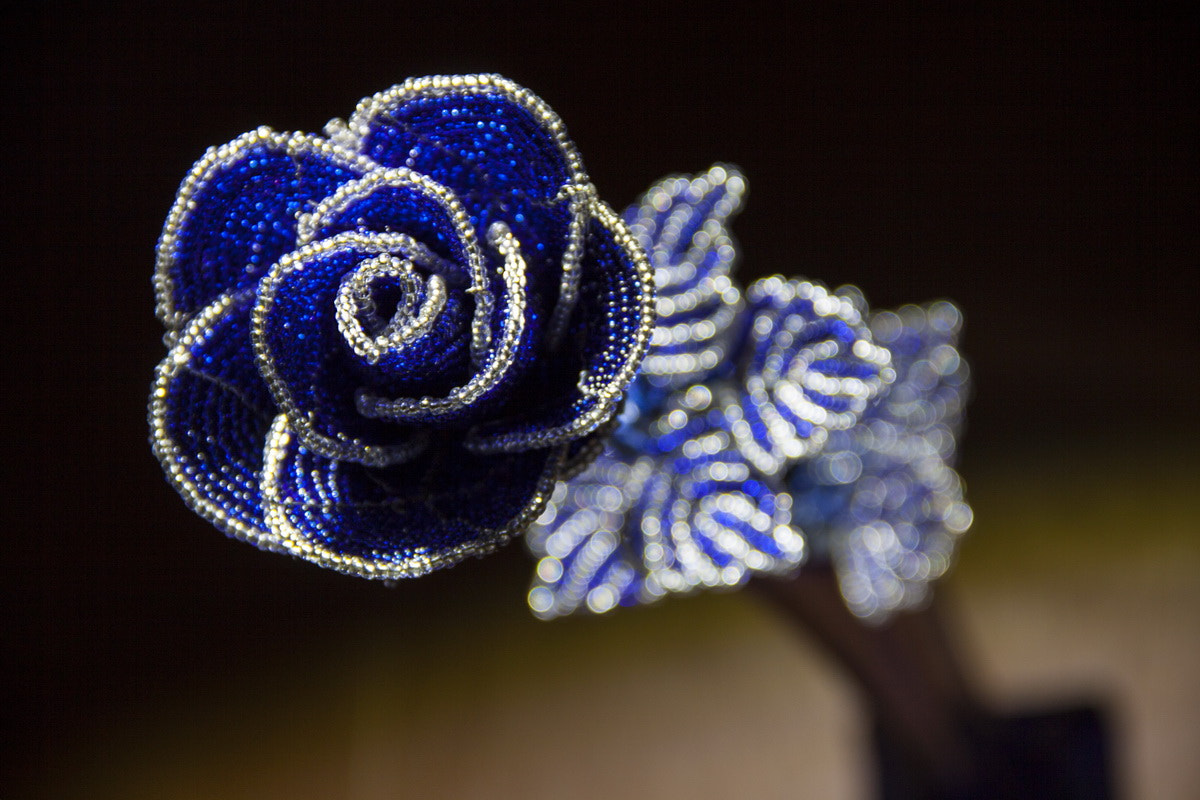 Canon EOS 50D sample photo. Ice roses photography