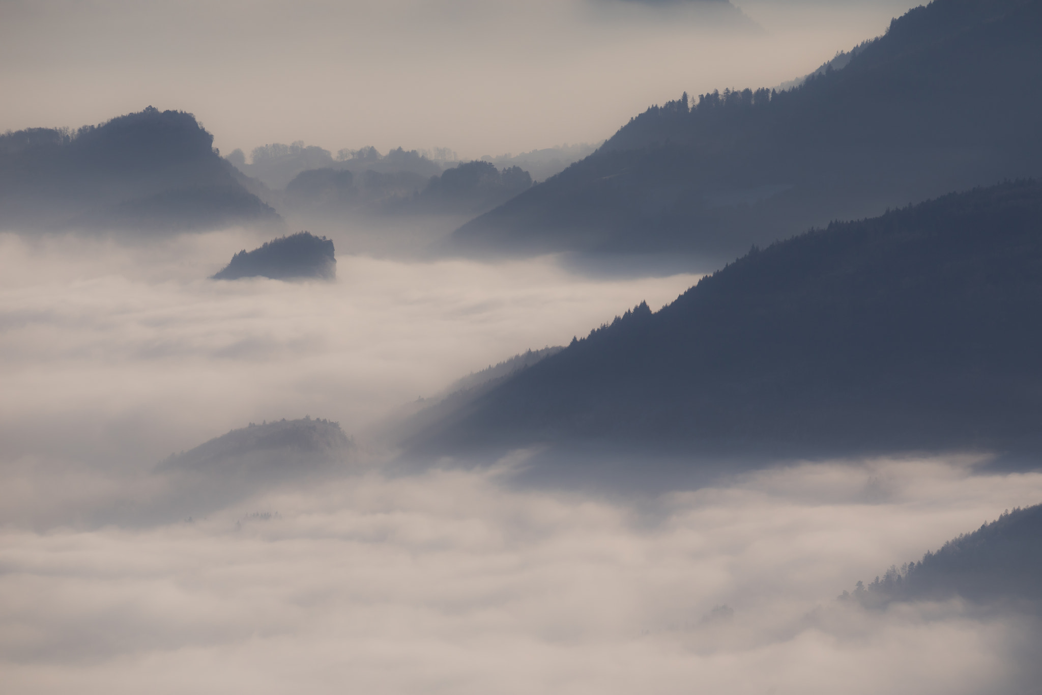 Canon EF 500mm F4L IS USM sample photo. Foggy photography