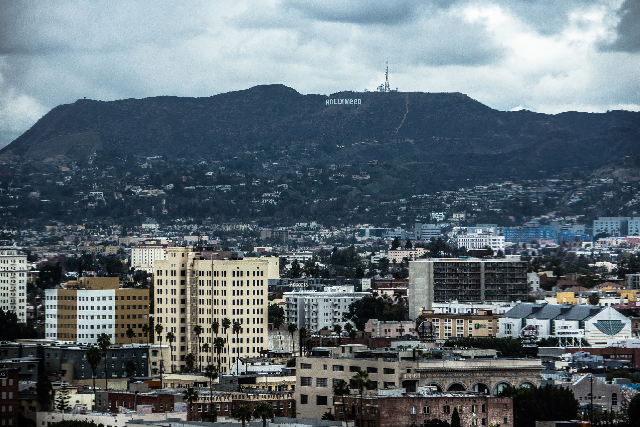 Sony E 18-200mm F3.5-6.3 OSS sample photo. Los angeles photography