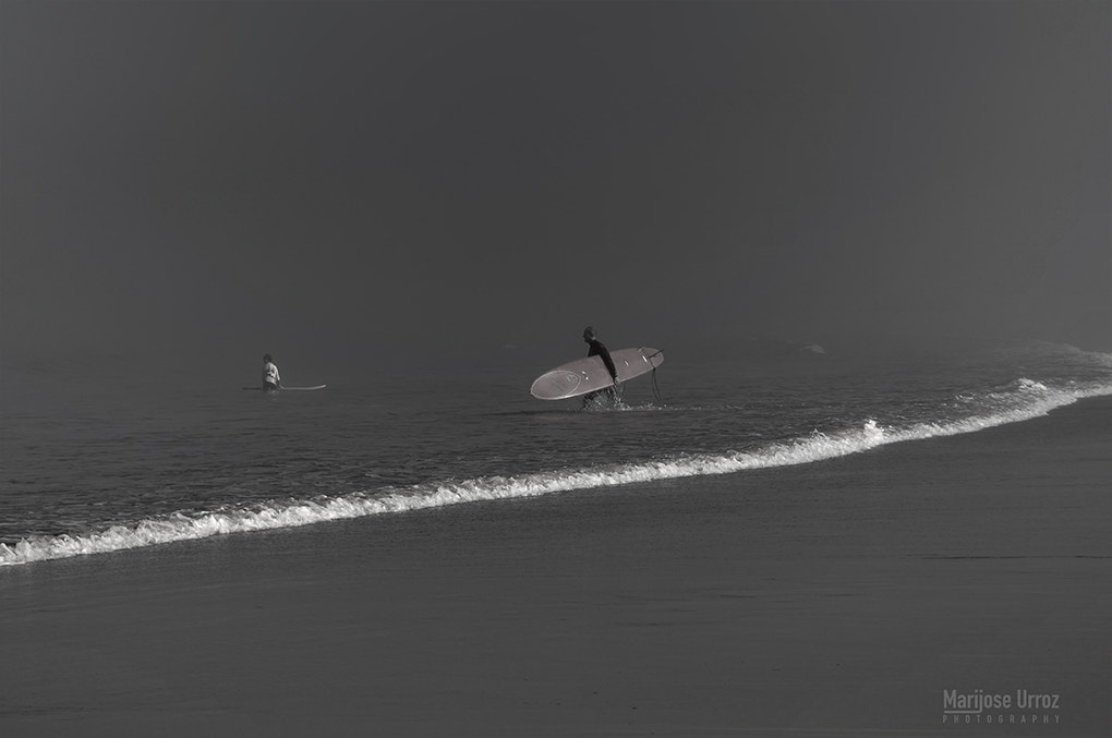 Nikon D300 sample photo. Mañana de niebla photography