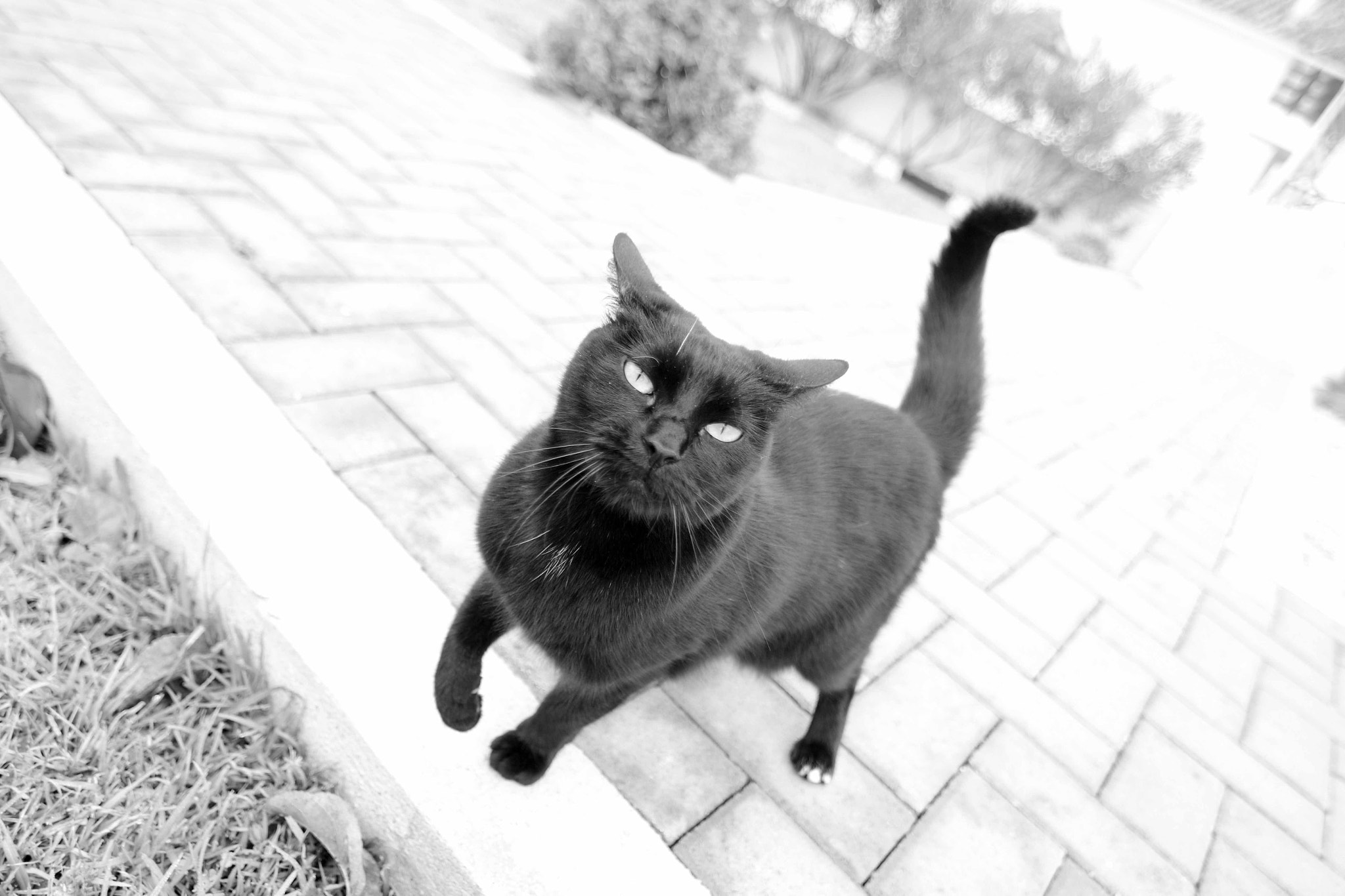 Tokina AT-X Pro 11-16mm F2.8 DX sample photo. Matilde on 3d!! photography