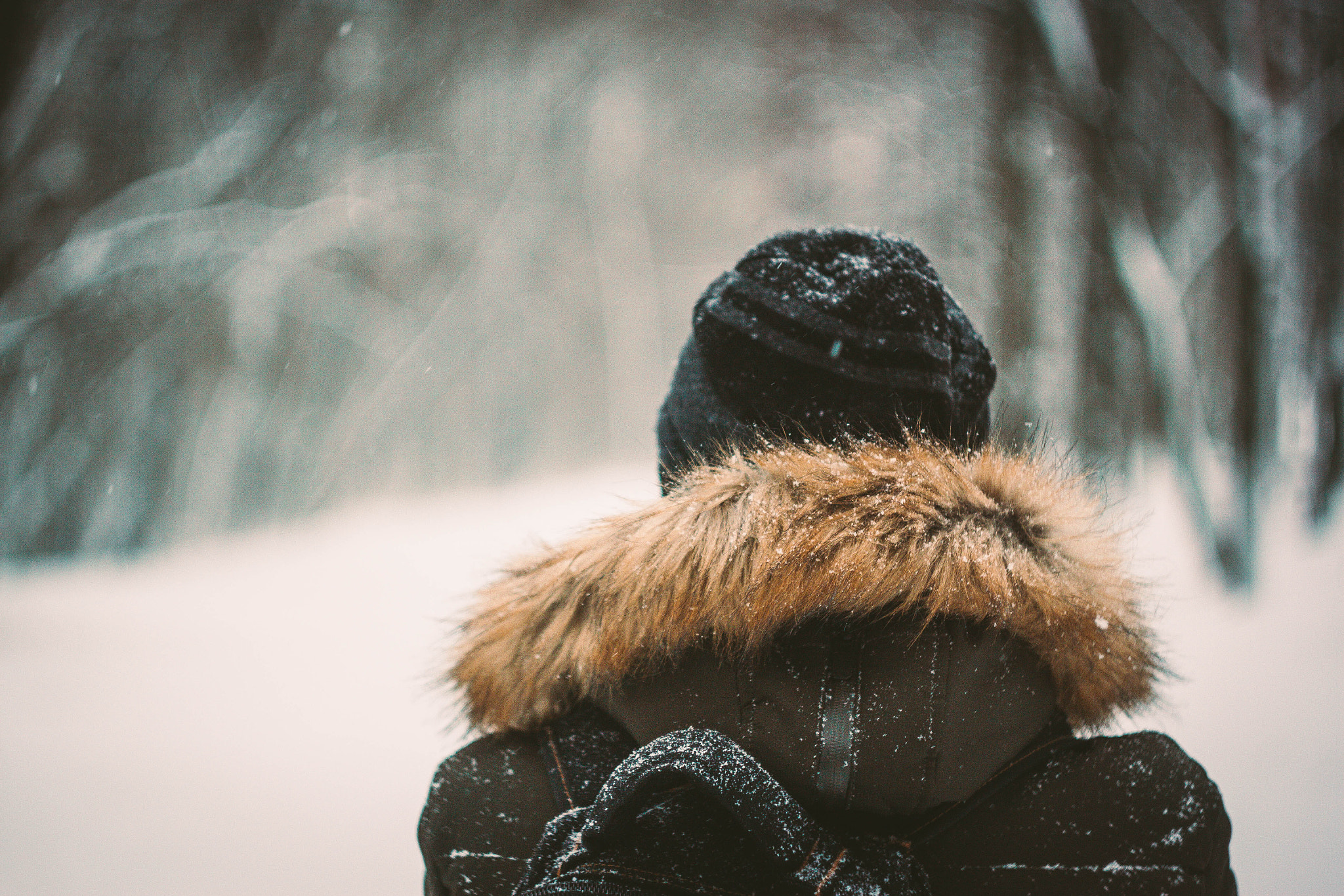 Canon EF 35-80mm f/4-5.6 sample photo. Winter photography