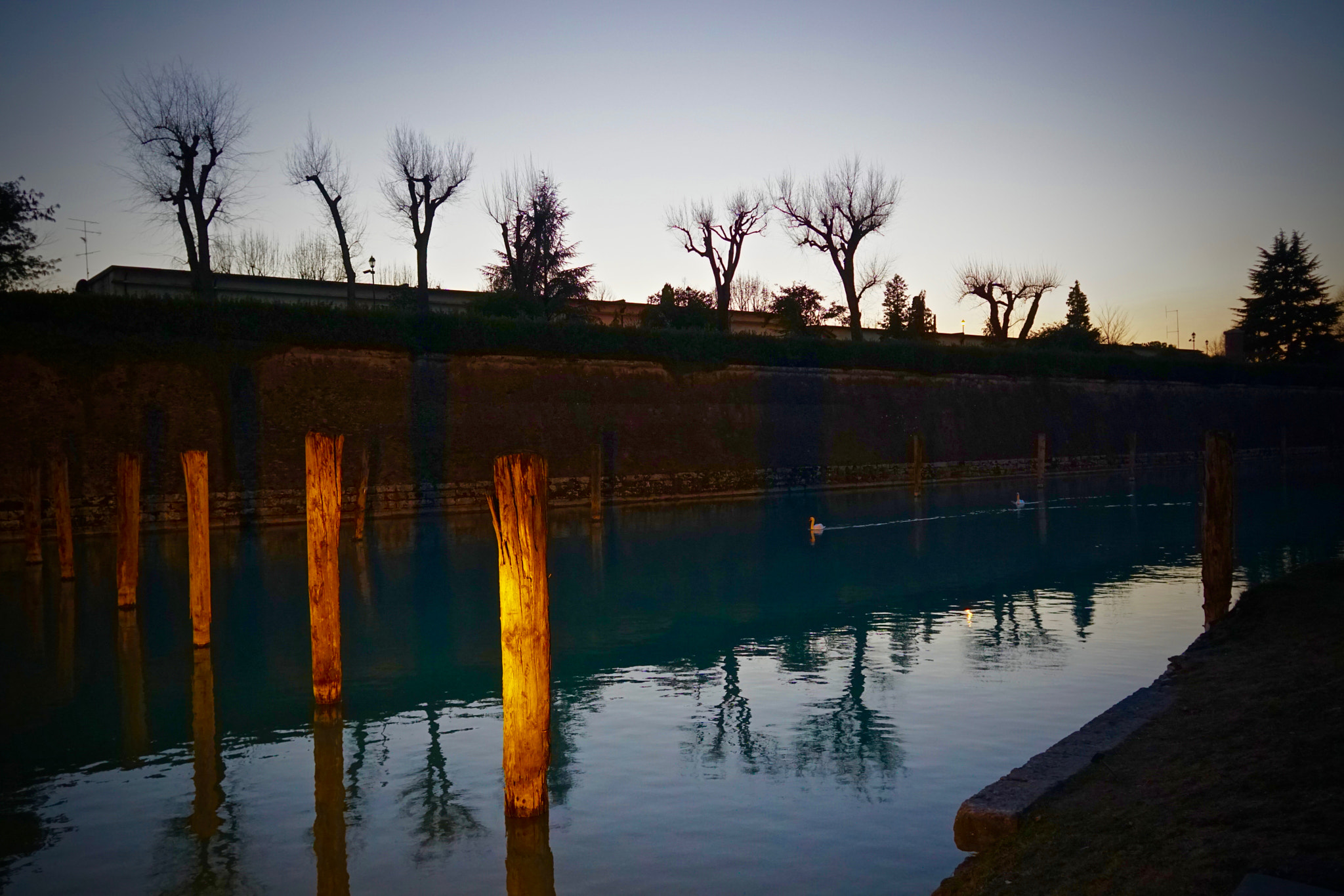 Sony a6300 + Sigma 19mm F2.8 EX DN sample photo. Reflected photography