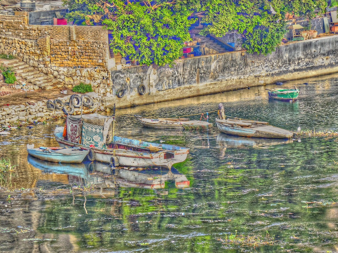 Samsung WB2200F sample photo. On the nile i saw!!! photography