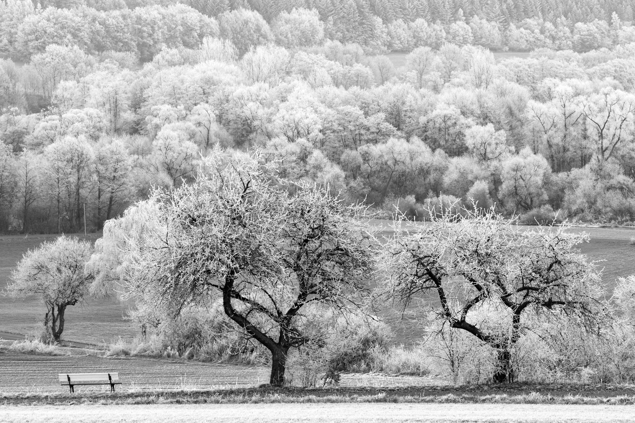 Fujifilm X-Pro2 + Fujifilm XF 90mm F2 R LM WR sample photo. A silent place (b&w) photography