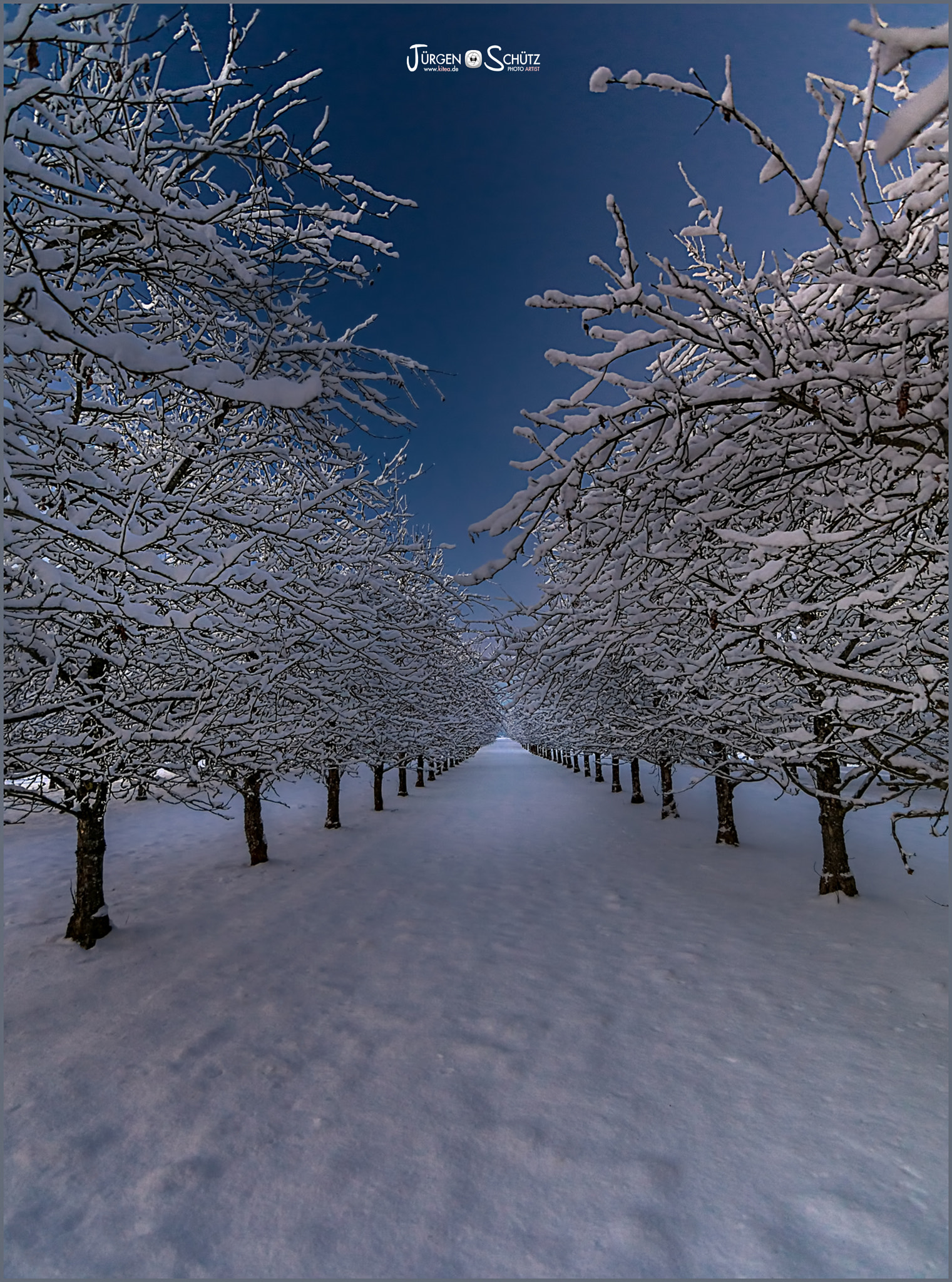 20mm F2.8 sample photo. Die allee photography