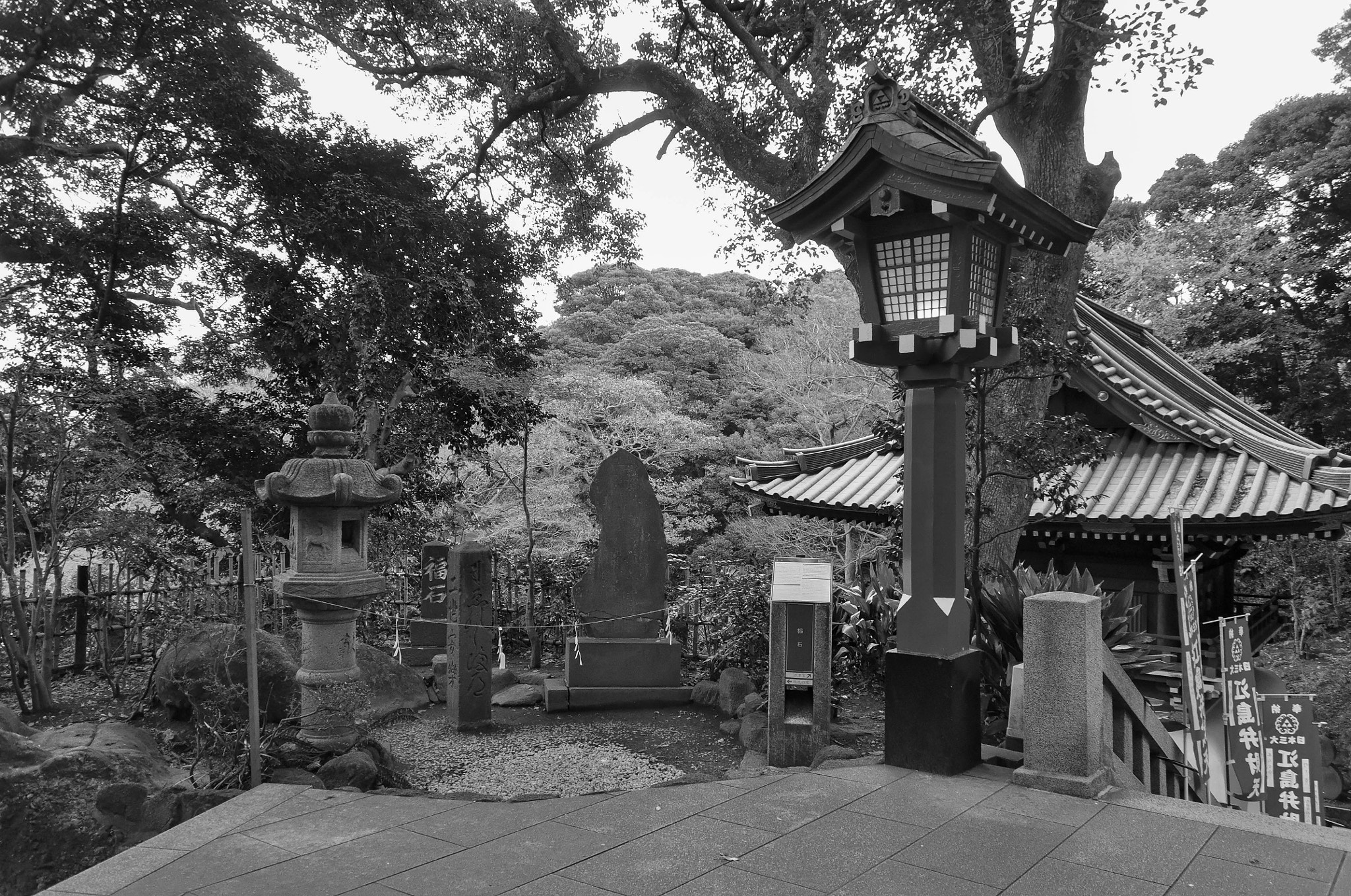 Sigma 18-250mm F3.5-6.3 DC OS HSM sample photo. Enoshima photography