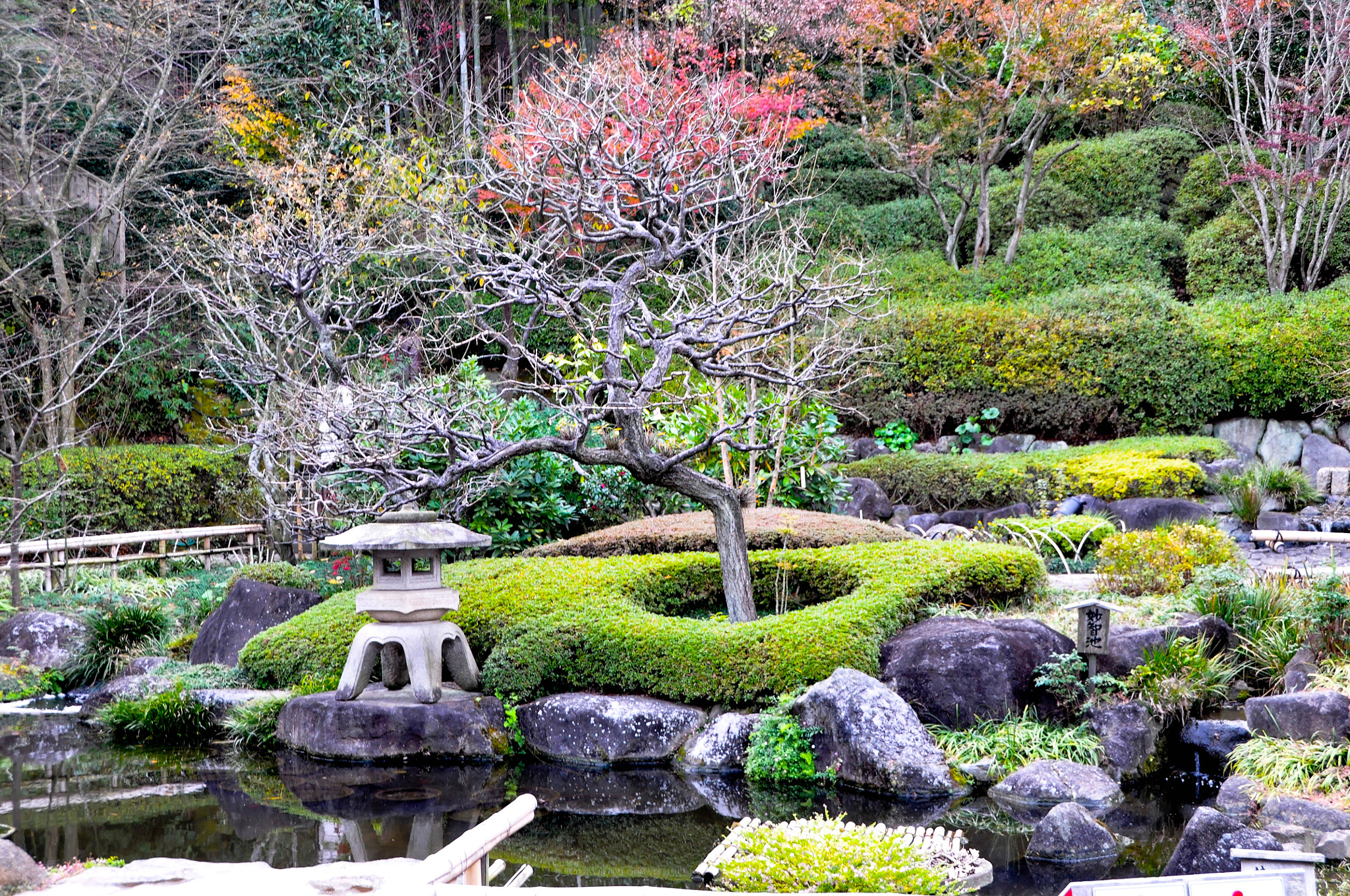 Sigma 18-250mm F3.5-6.3 DC OS HSM sample photo. Hasadera photography