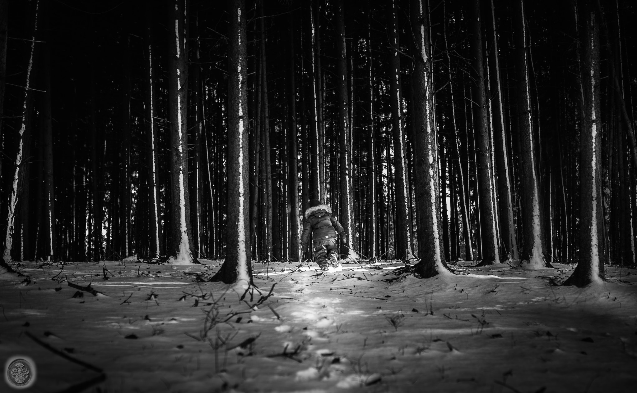 Nikon Df sample photo. ...fearless little astronaut entering the woods... photography