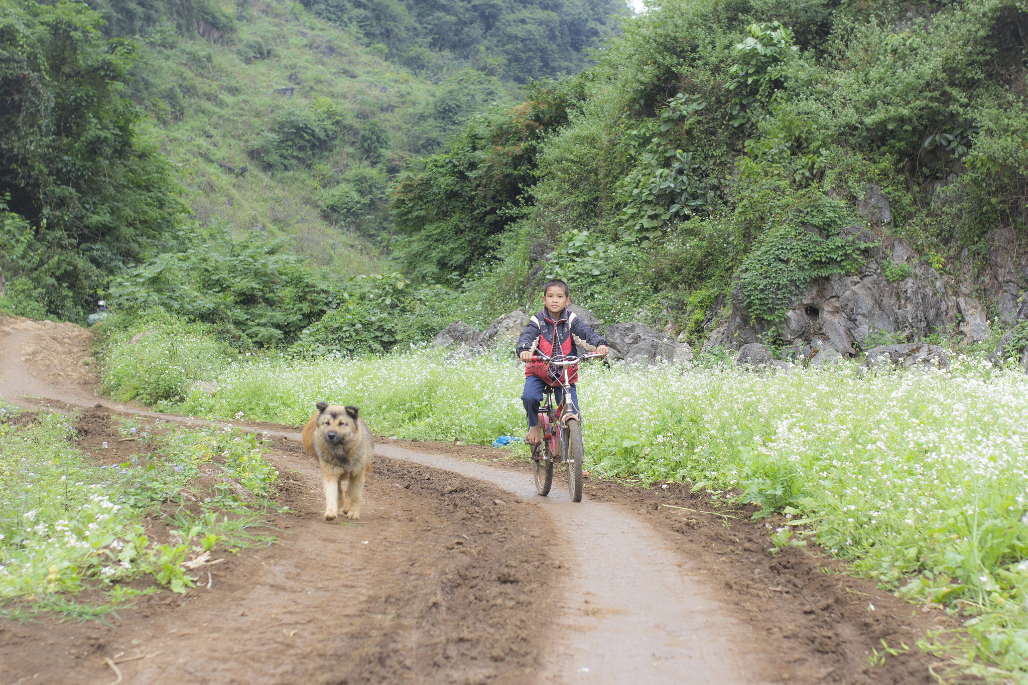 Canon EOS 60D + Sigma 35mm F1.4 DG HSM Art sample photo. Img photography