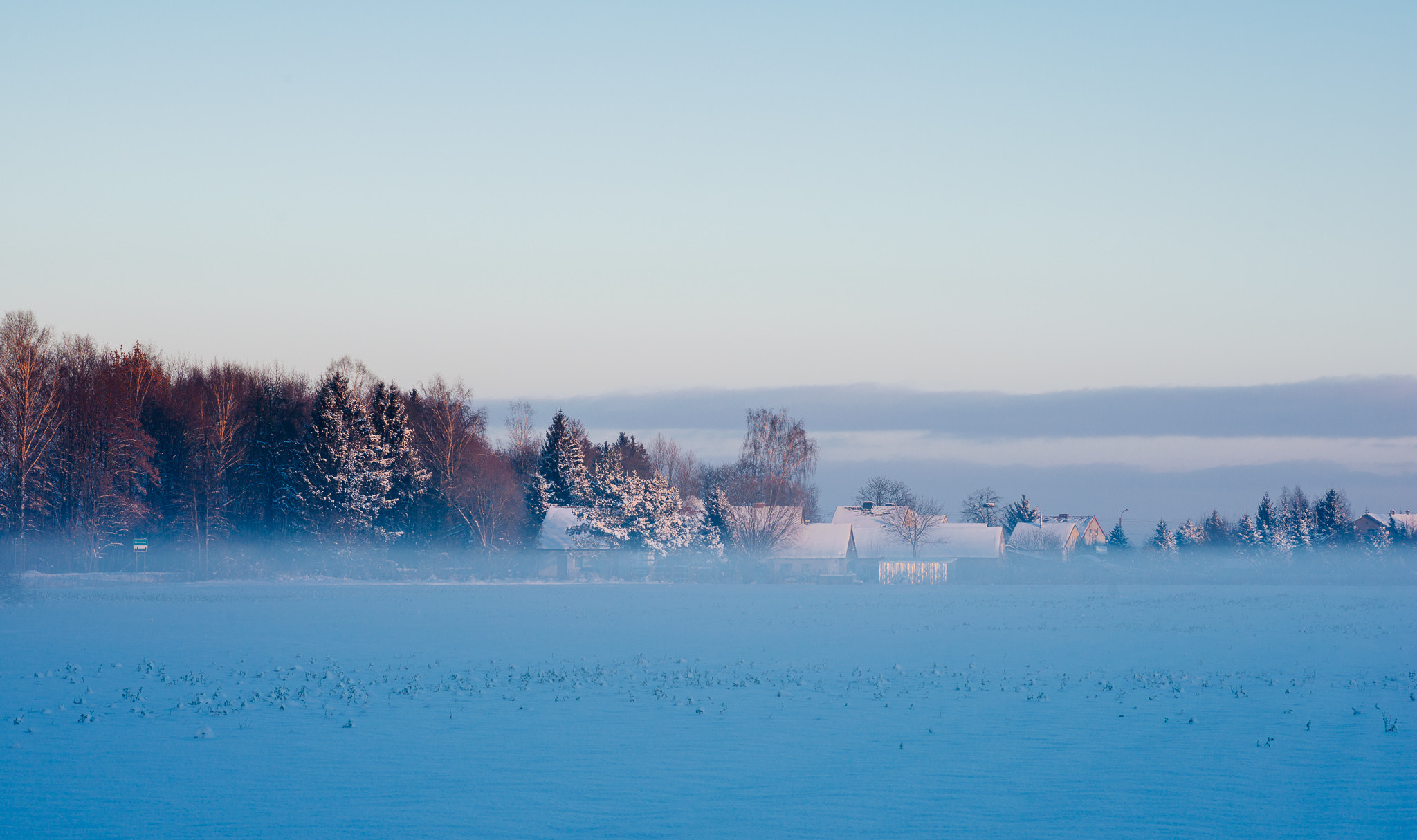 Tokina AT-X Pro 100mm F2.8 Macro sample photo. Frozen photography