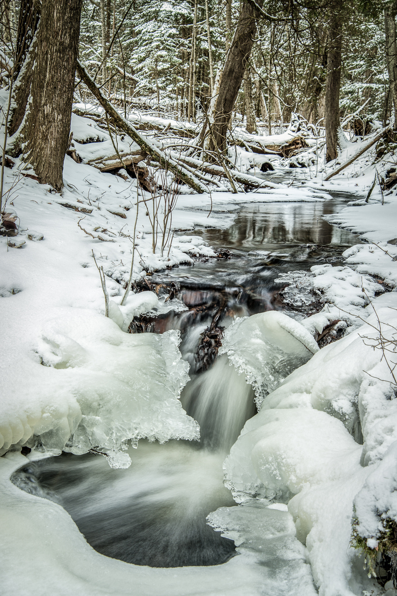 Nikon AF Nikkor 24-85mm F2.8-4D IF sample photo. Winter falls photography