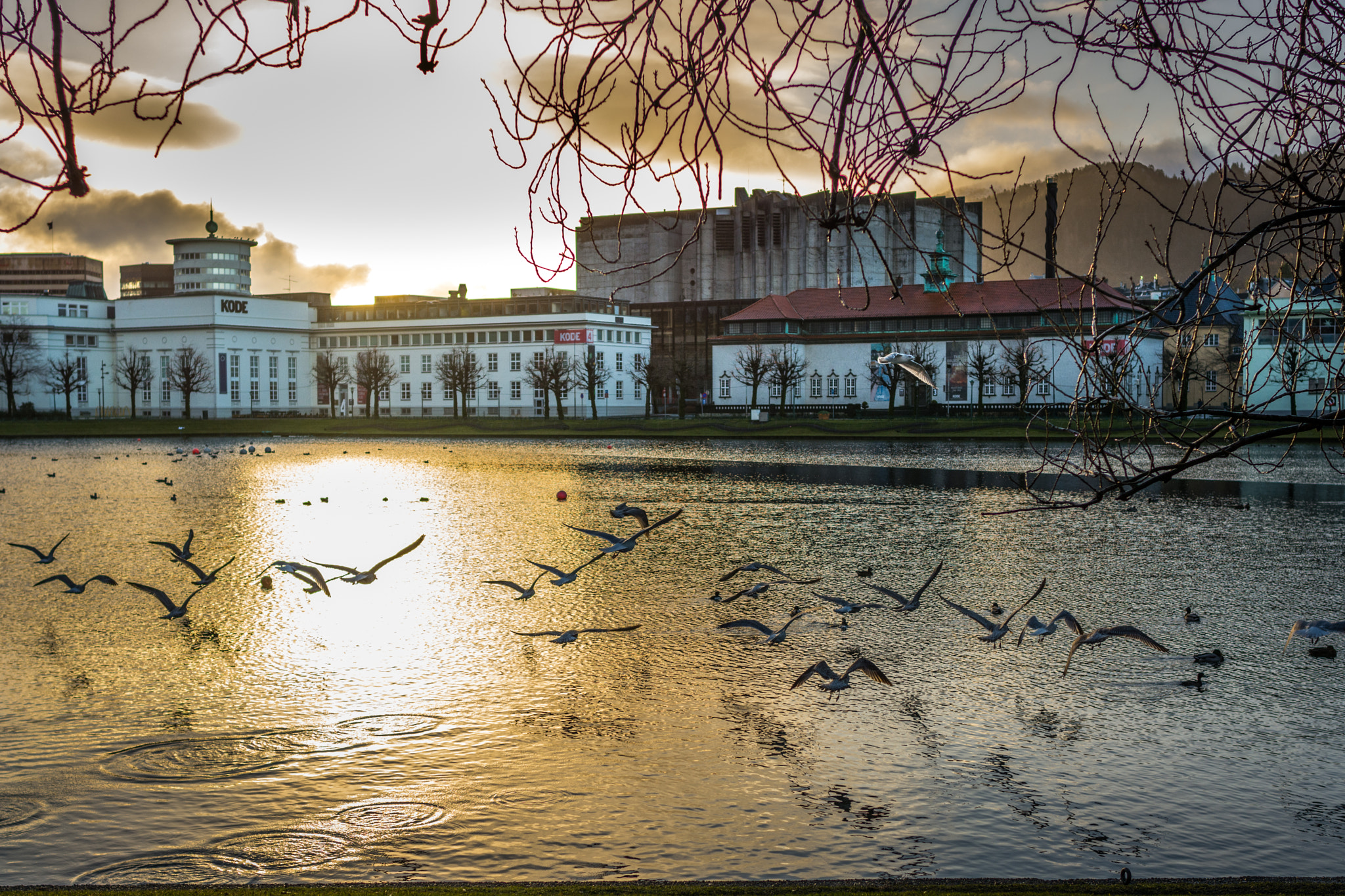 Nikon D7100 + Nikon AF-S Nikkor 28mm F1.8G sample photo. Mellow morning in bergen photography