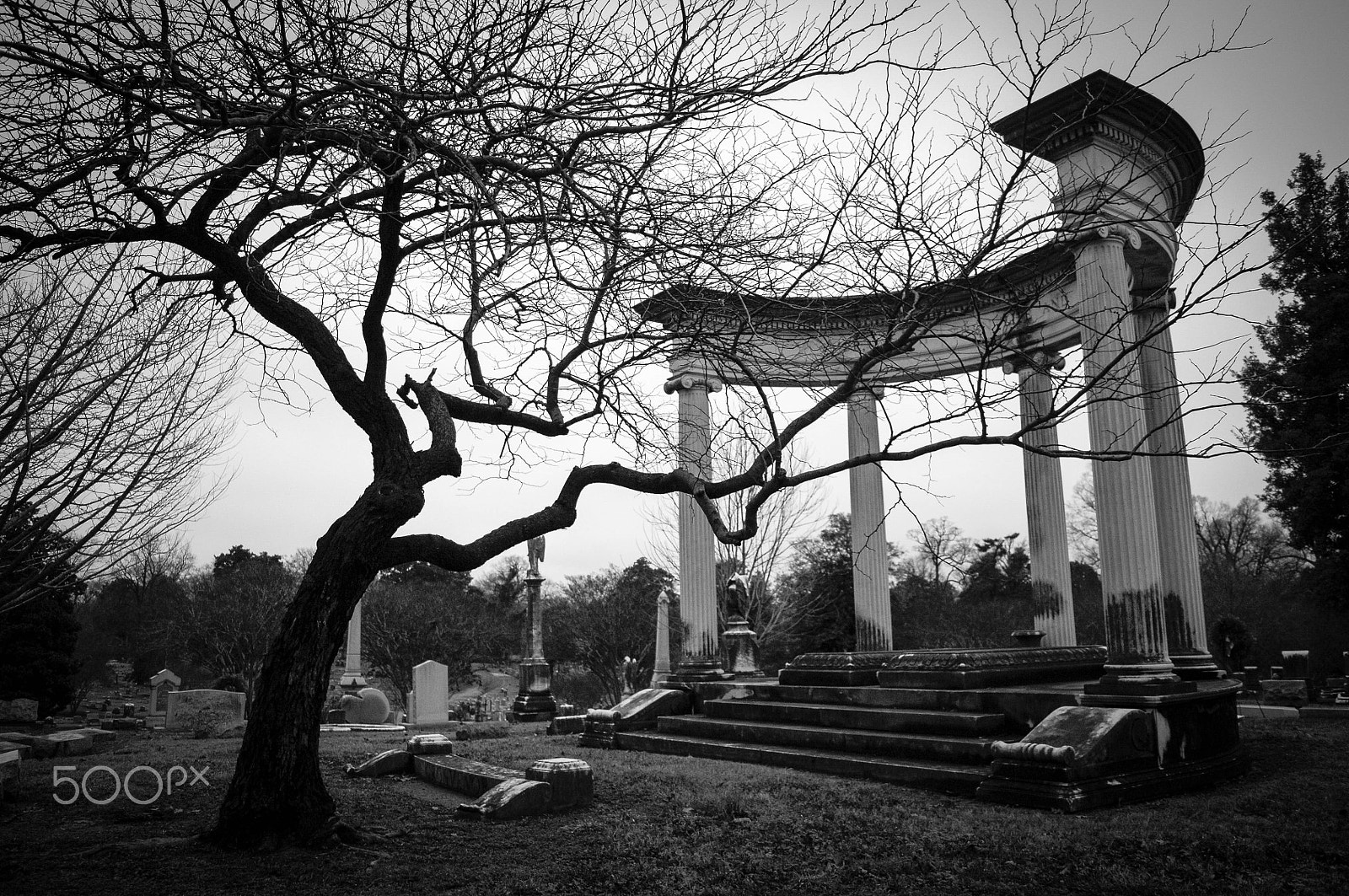 Nikon D2X sample photo. Final column ii photography