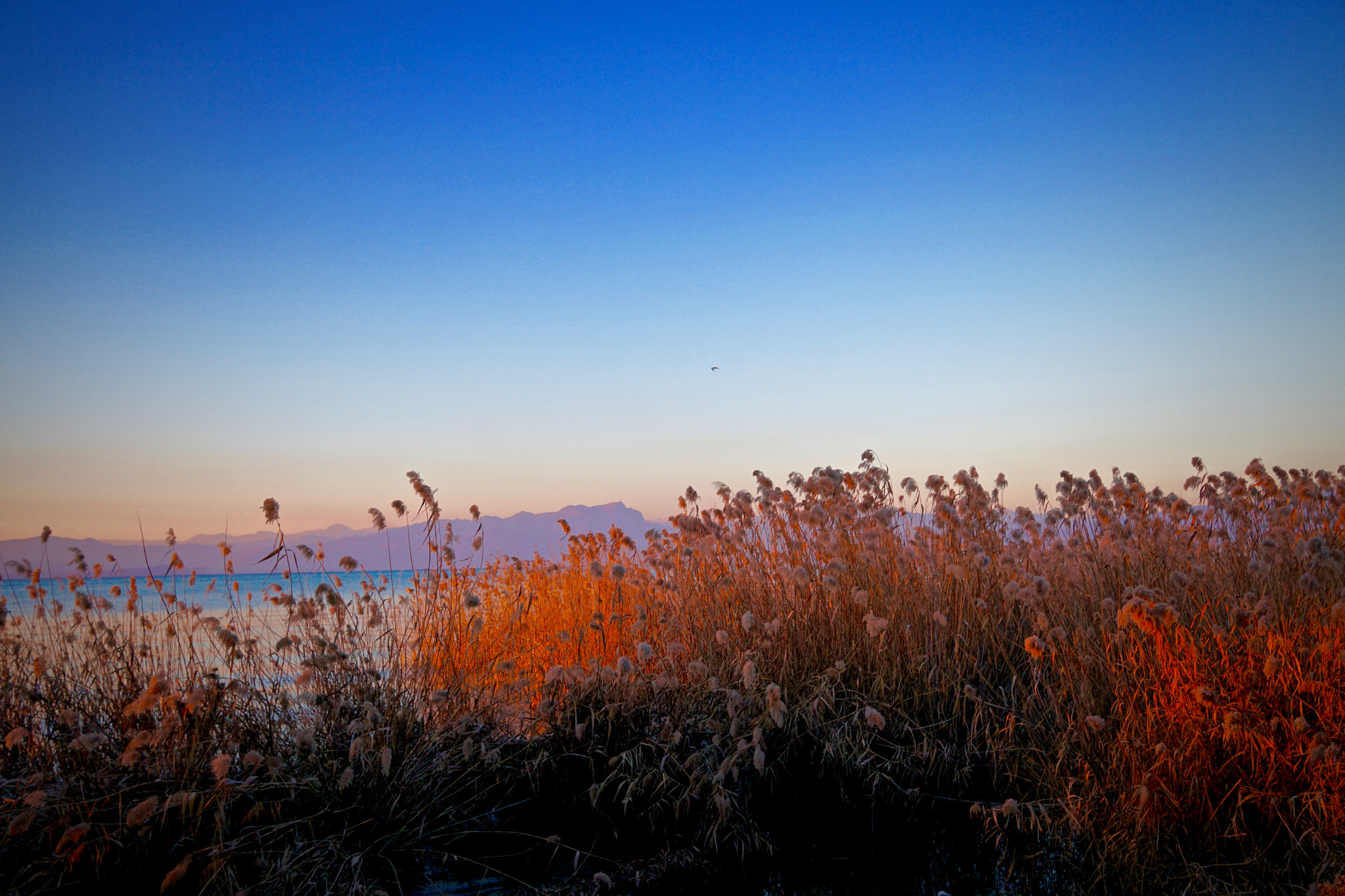 Sony a6300 + Sigma 19mm F2.8 EX DN sample photo. Technicolor photography
