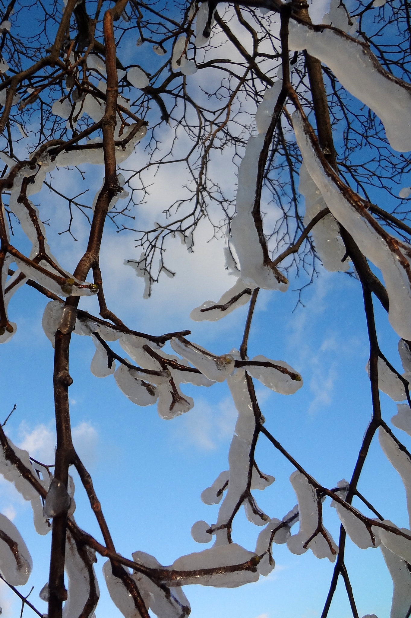 Sony DSC-WX7 sample photo. Frozen photography