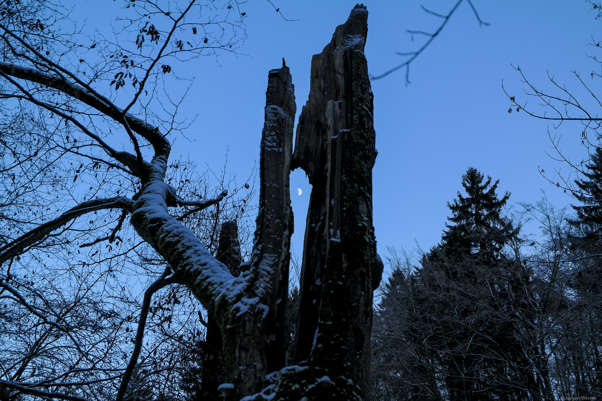 Saumsun NX 16-50mm F2-2.8 S ED OIS sample photo. Moon is shining through photography