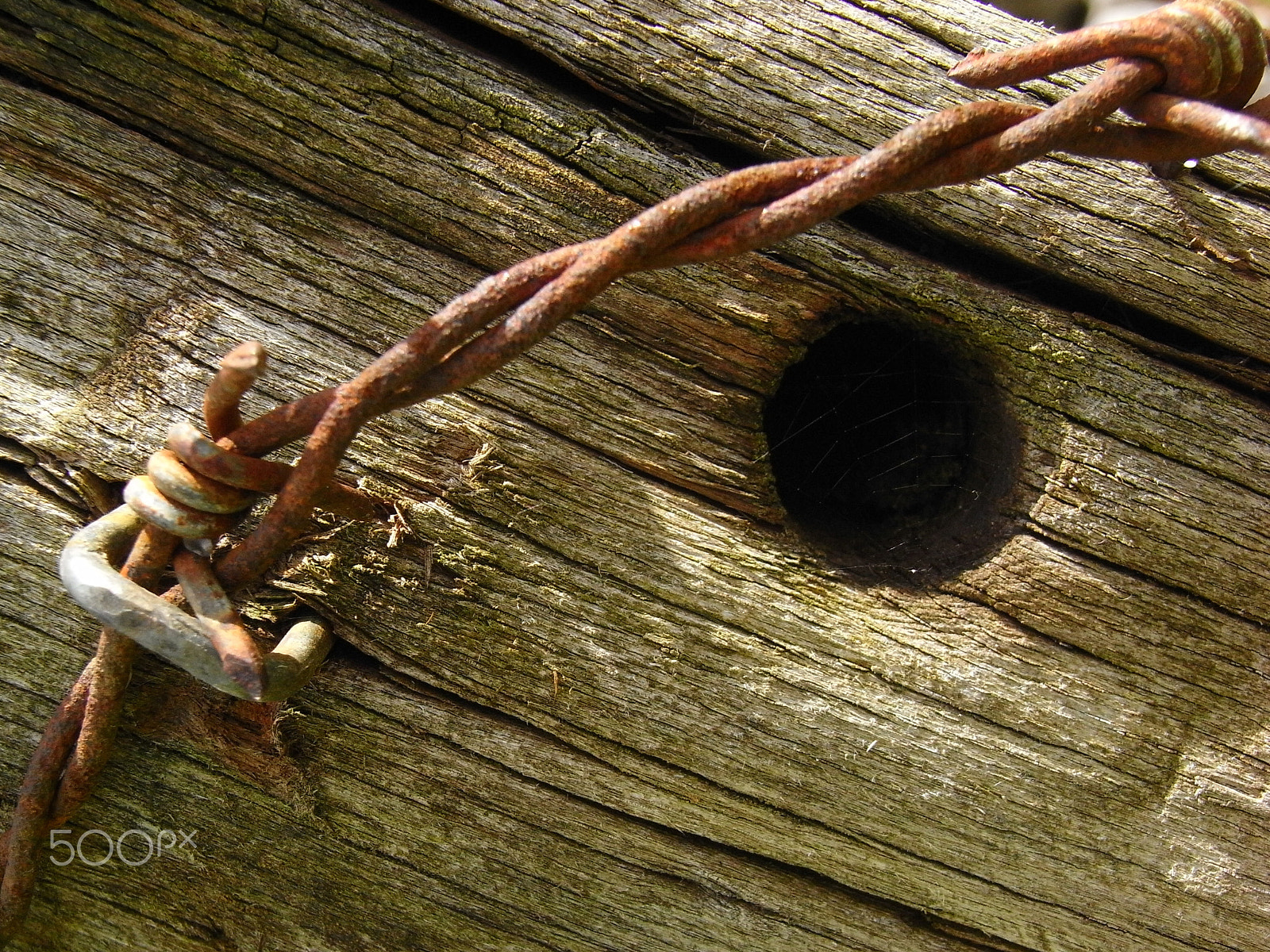 Ricoh Caplio R7 sample photo. Fence post photography