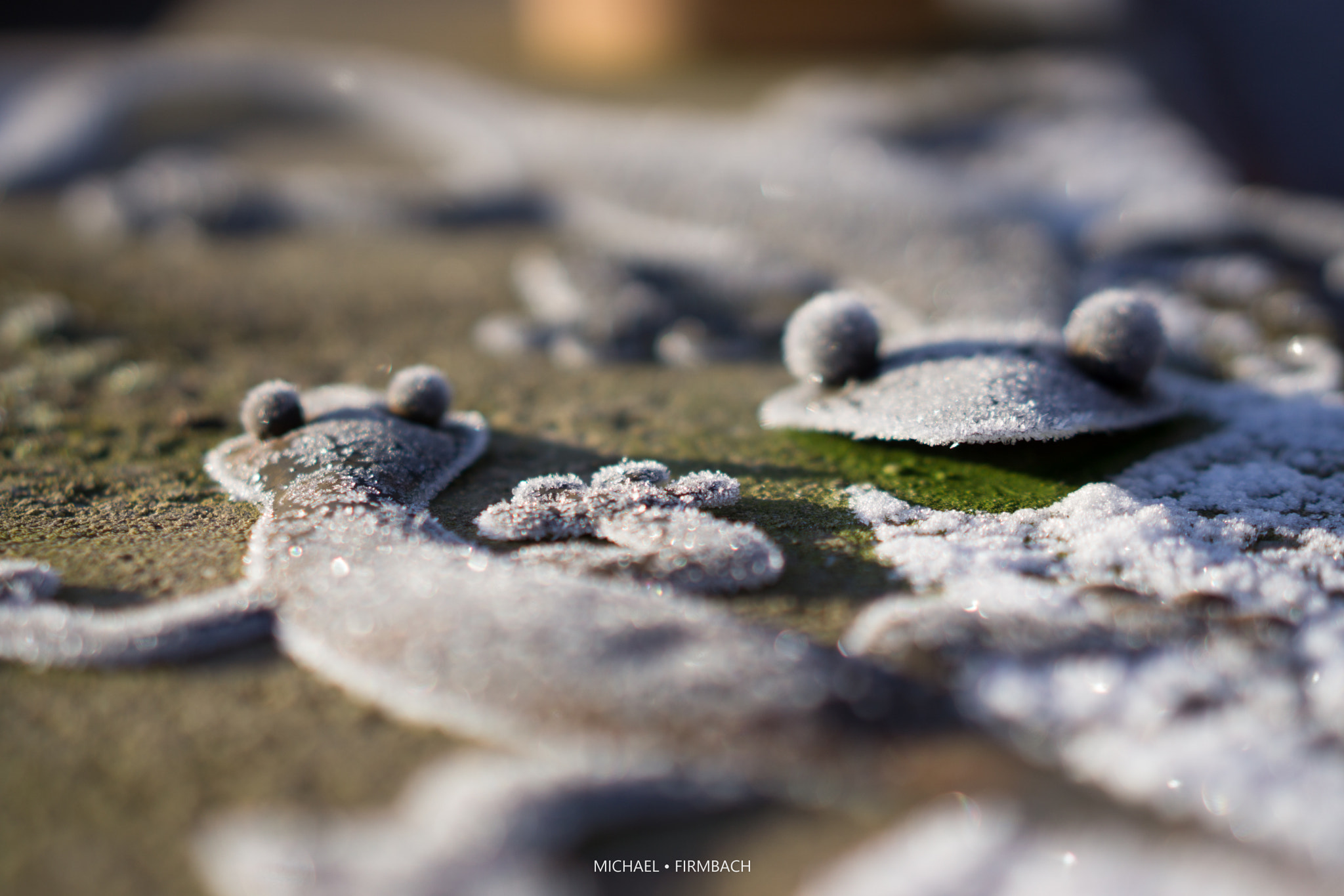 Sony Sonnar T* FE 55mm F1.8 ZA sample photo. Begegnung im winter photography