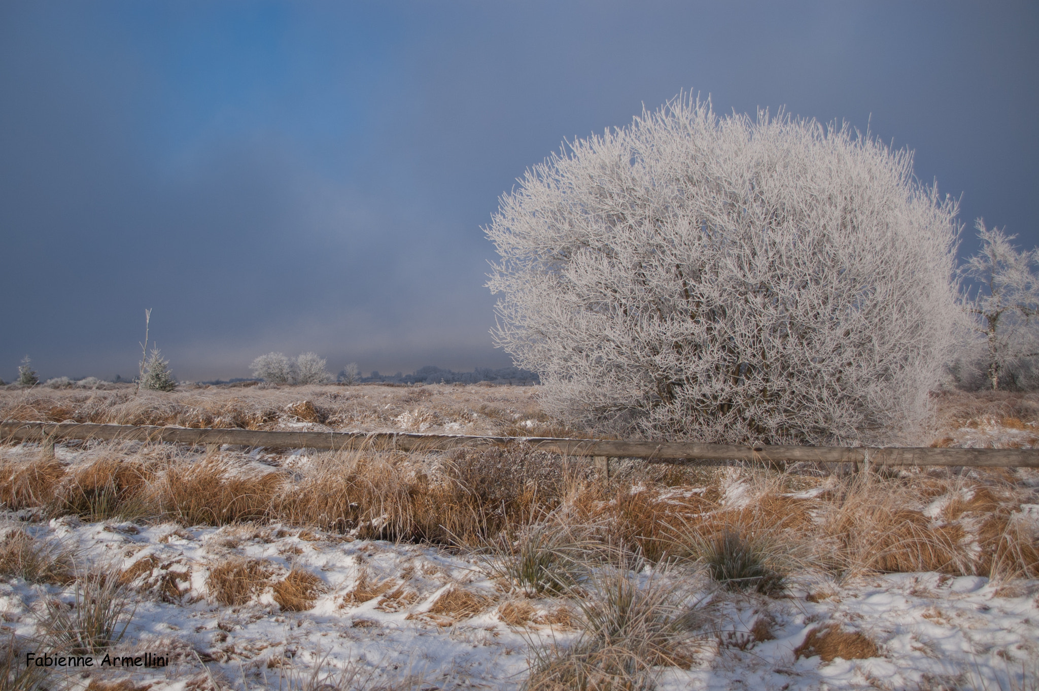 Sigma 28-300mm F3.5-6.3 DG Macro sample photo. Frozen day at the top of my little country photography