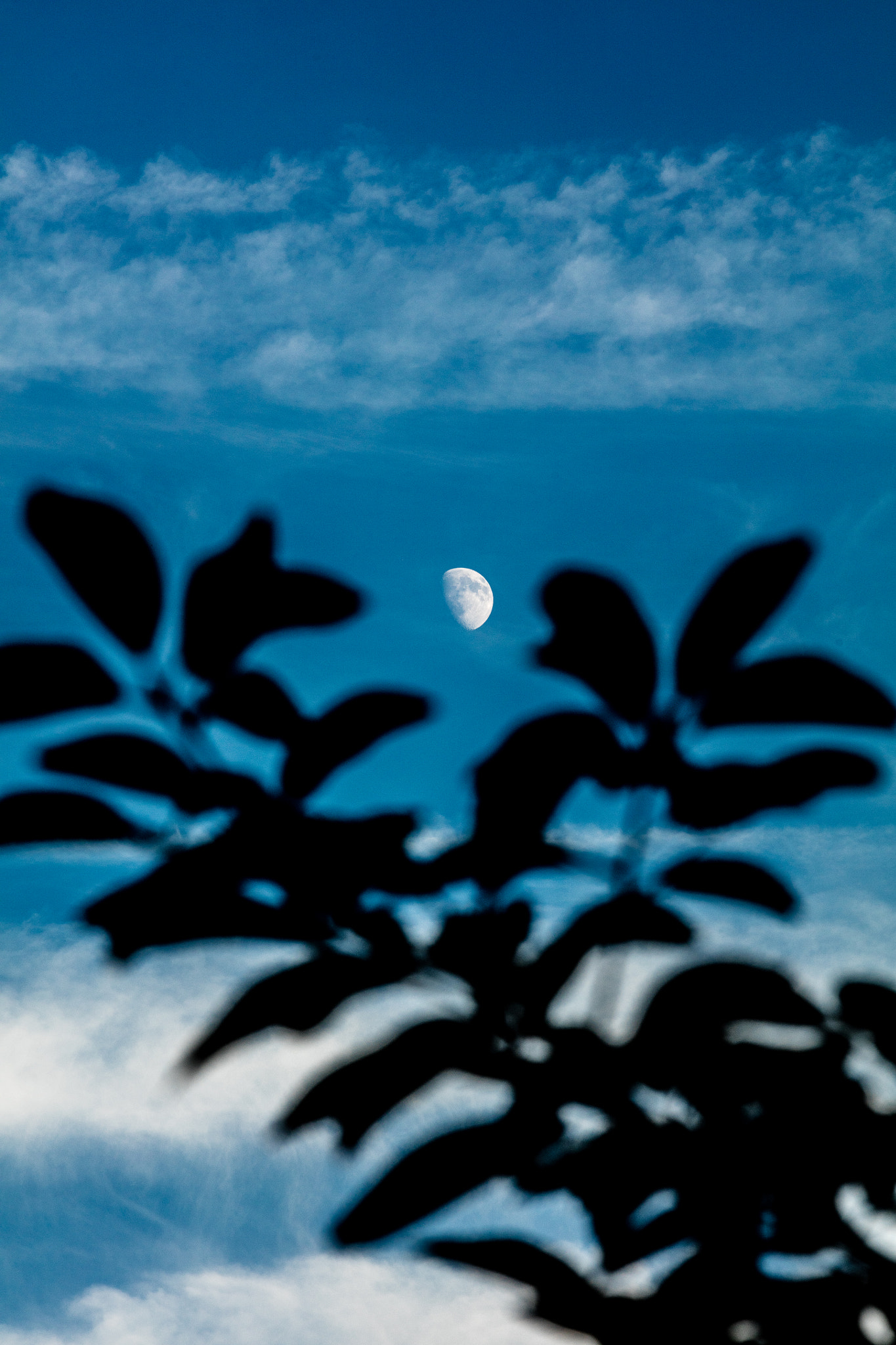 Canon EF 70-200mm F2.8L USM sample photo. Moon  photography
