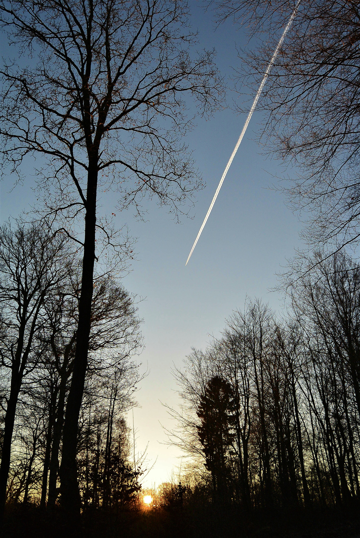 Nikon 1 S1 sample photo. The plane... photography