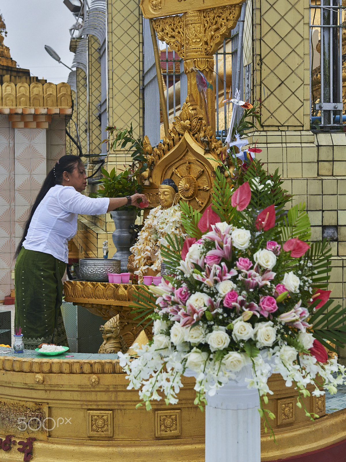 Nikon AF-S Nikkor 24-70mm F2.8G ED sample photo. Feeding the buddha photography