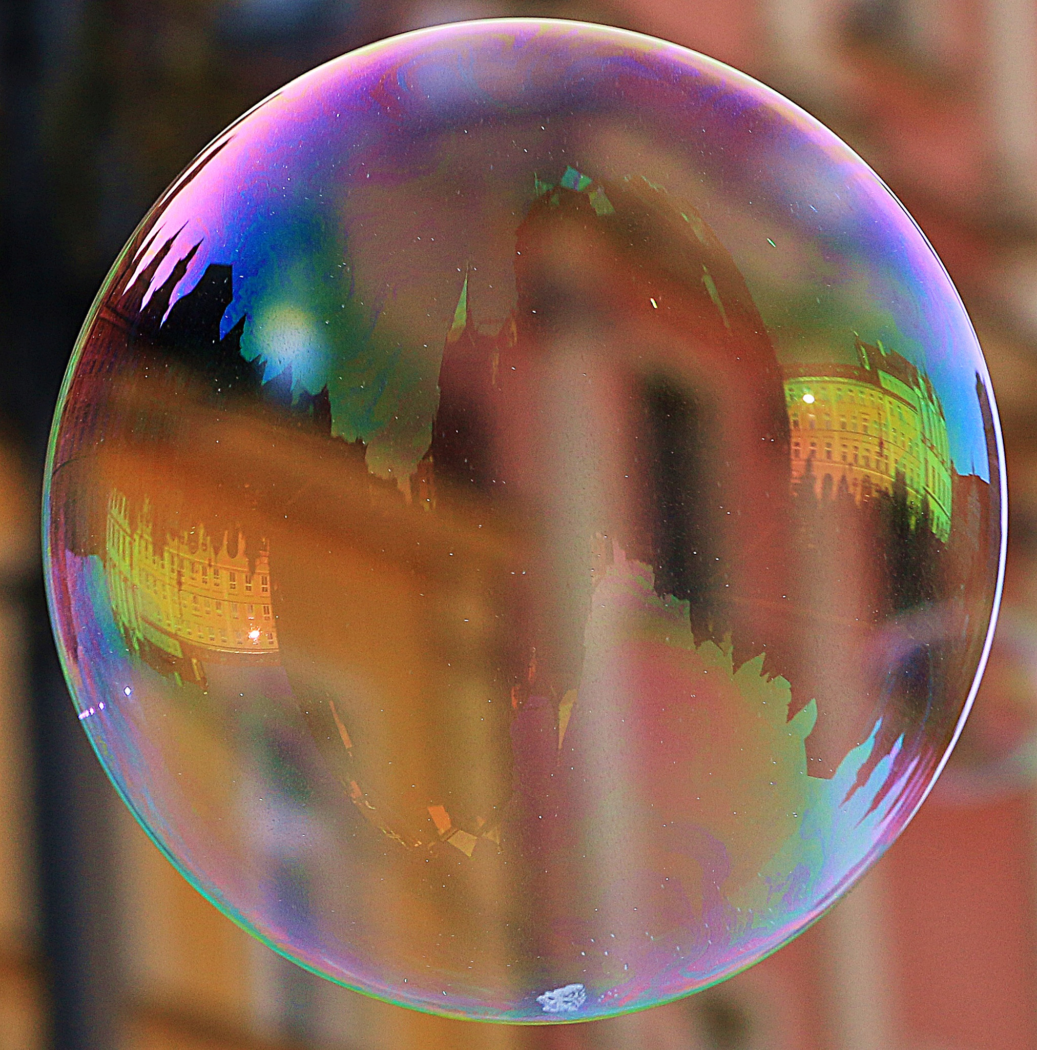 Canon EOS 70D + Canon EF 100mm F2.0 USM sample photo. Wrocław photography