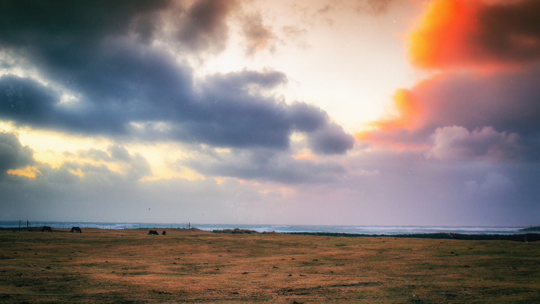 Canon EOS 100D (EOS Rebel SL1 / EOS Kiss X7) sample photo. Edit edit photography