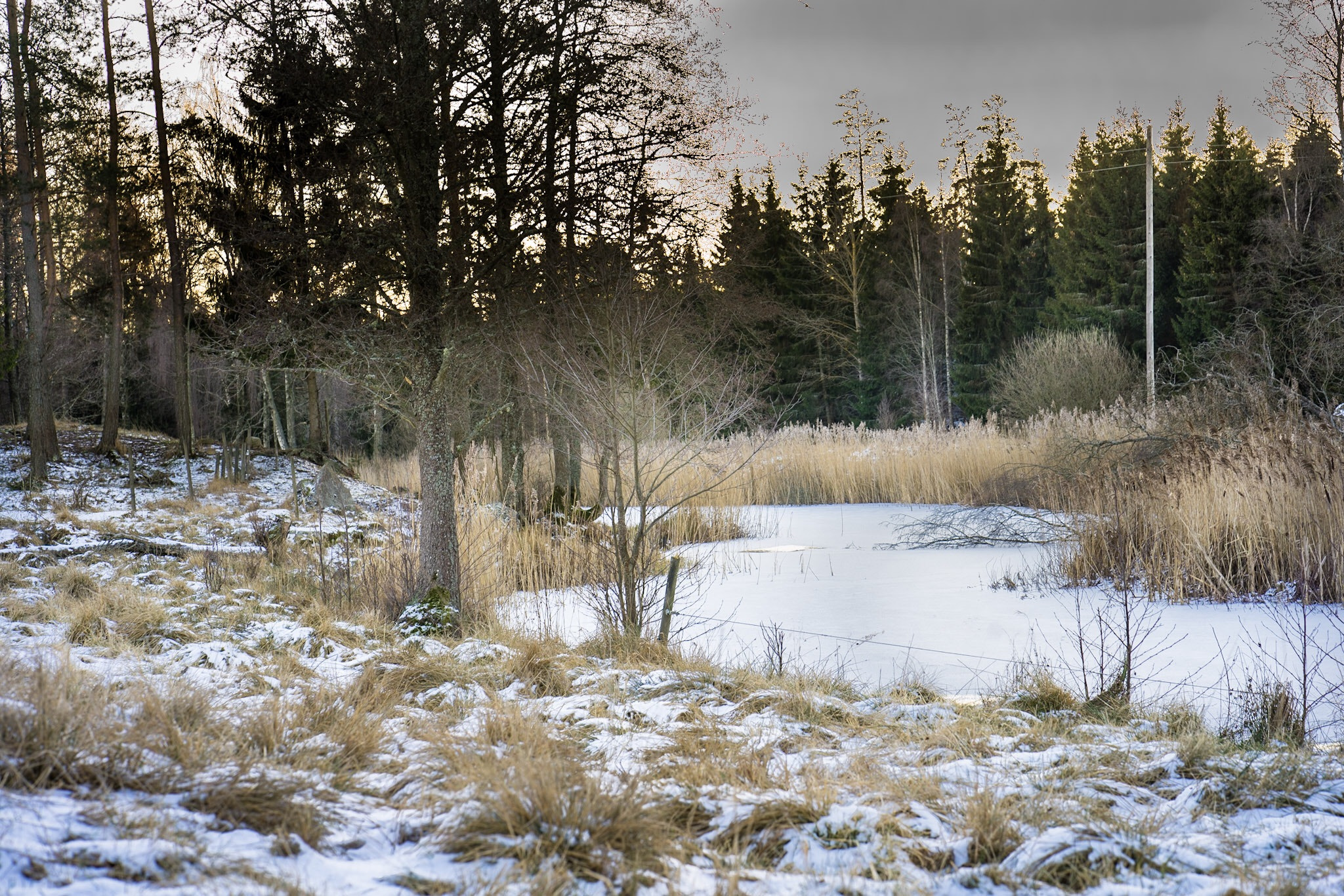 Sony a7R + ZEISS Batis 85mm F1.8 sample photo. Cold river photography