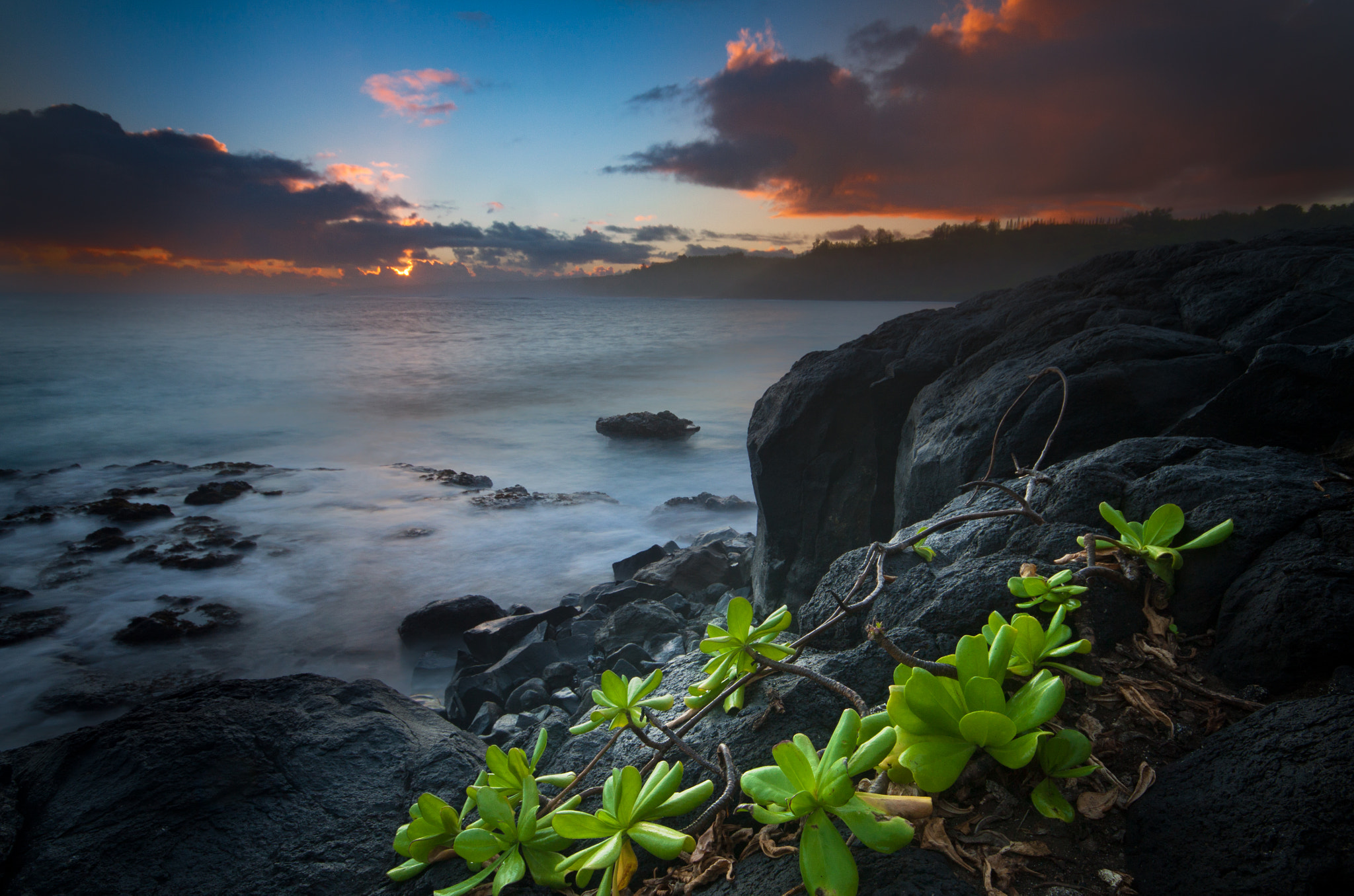 Canon EOS 50D + Sigma 10-20mm F4-5.6 EX DC HSM sample photo. Life on the edge photography