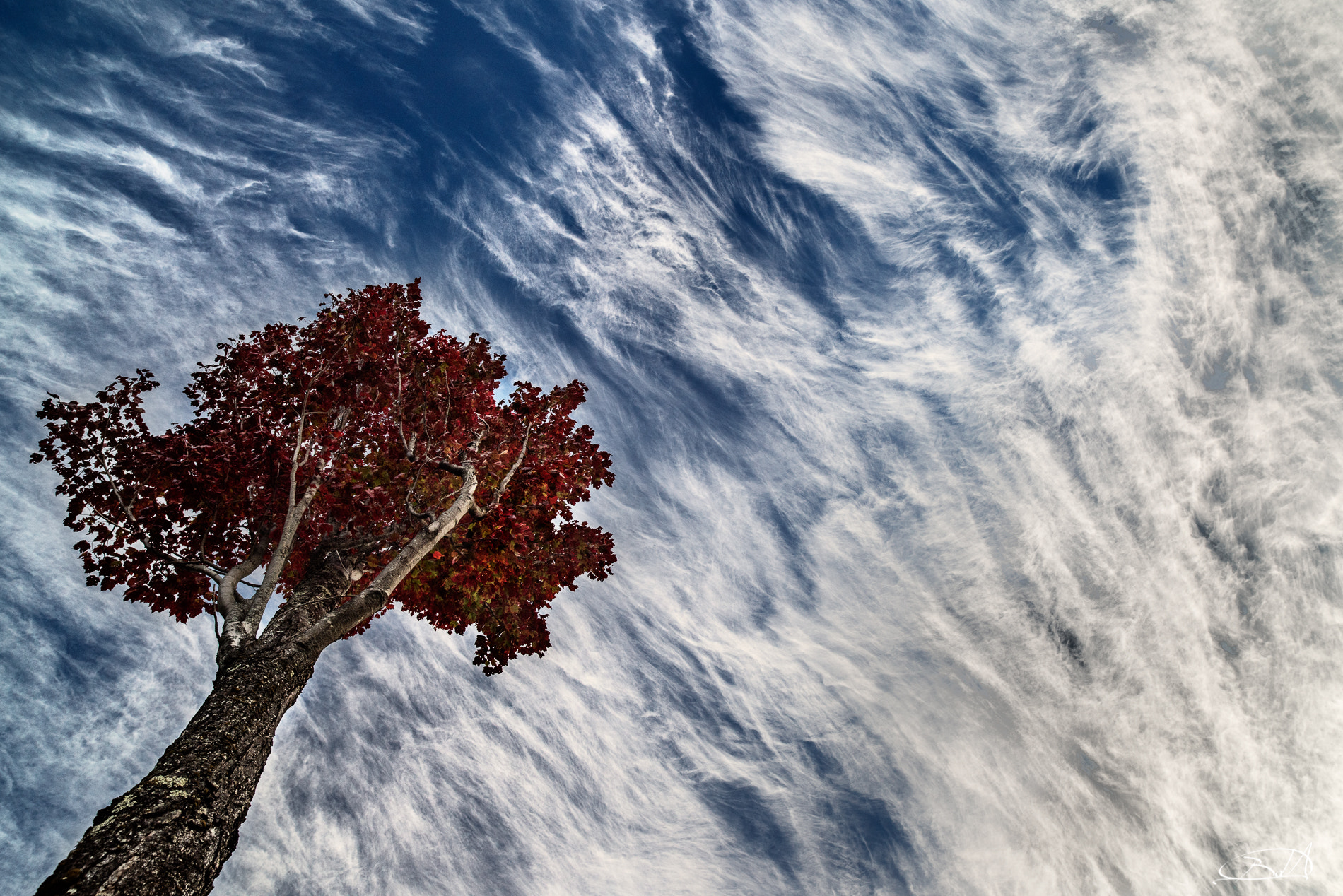 Nikon D810 sample photo. Floating in the sky photography