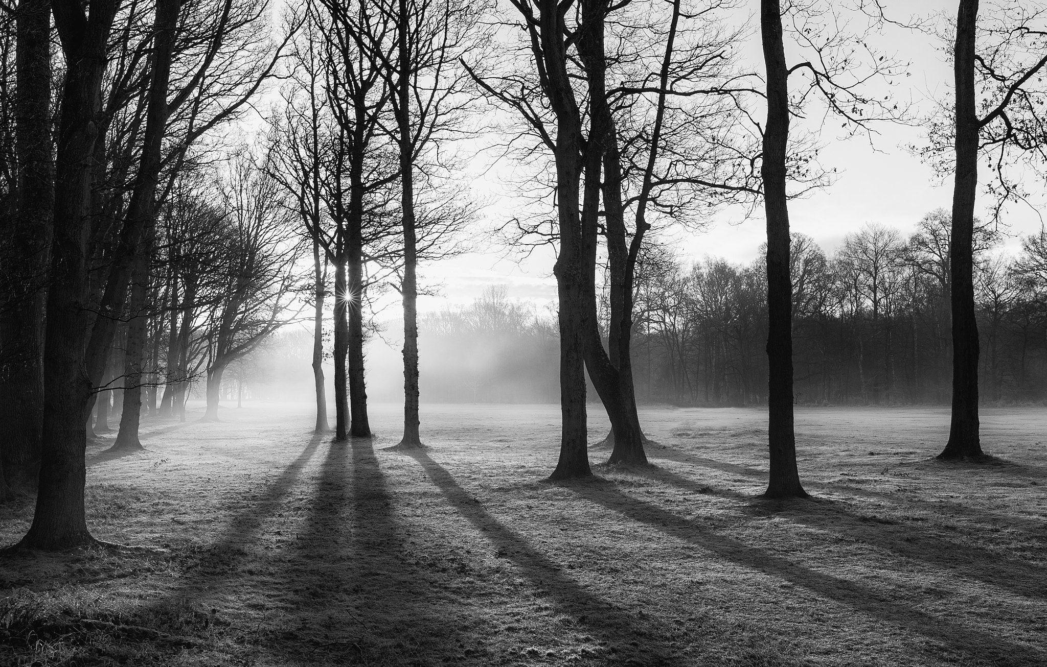 Nikon Df + Sigma 35mm F1.4 DG HSM Art sample photo. Amongst the shadows photography