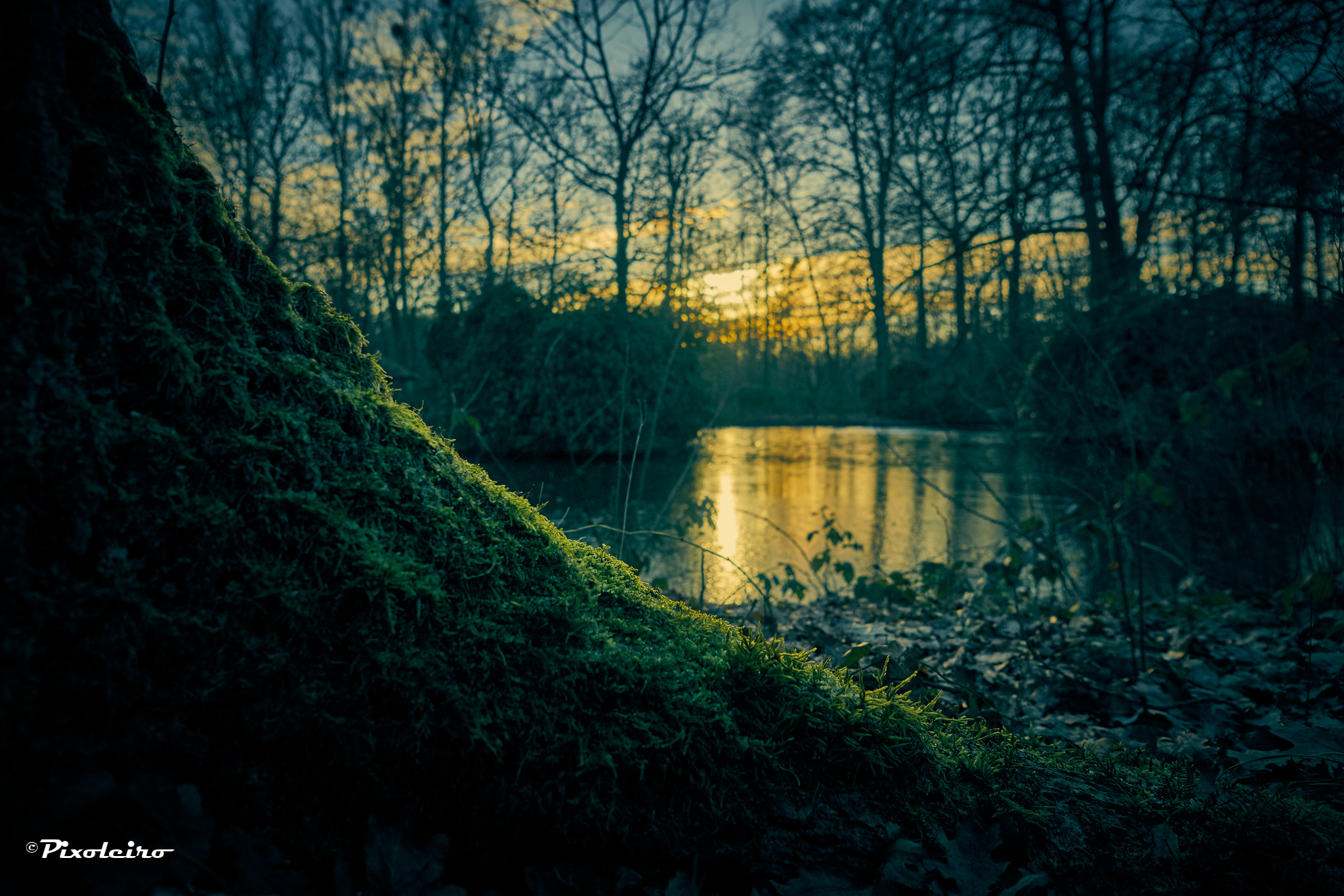 Sony ILCA-77M2 sample photo. So frozen! photography