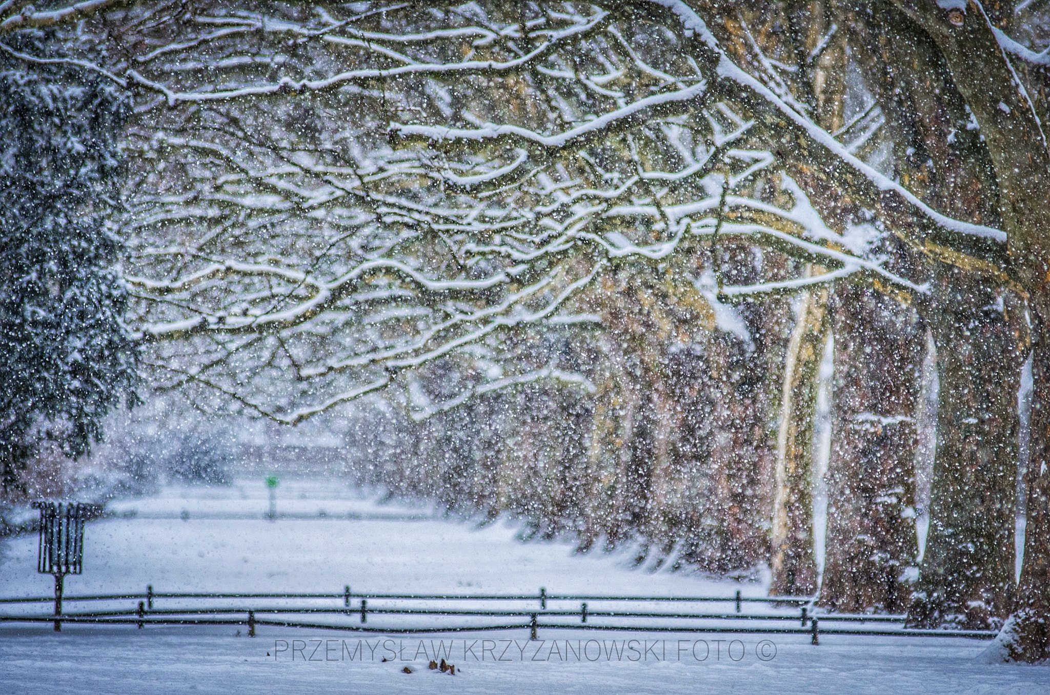 Pentax K-5 sample photo. Winter time photography