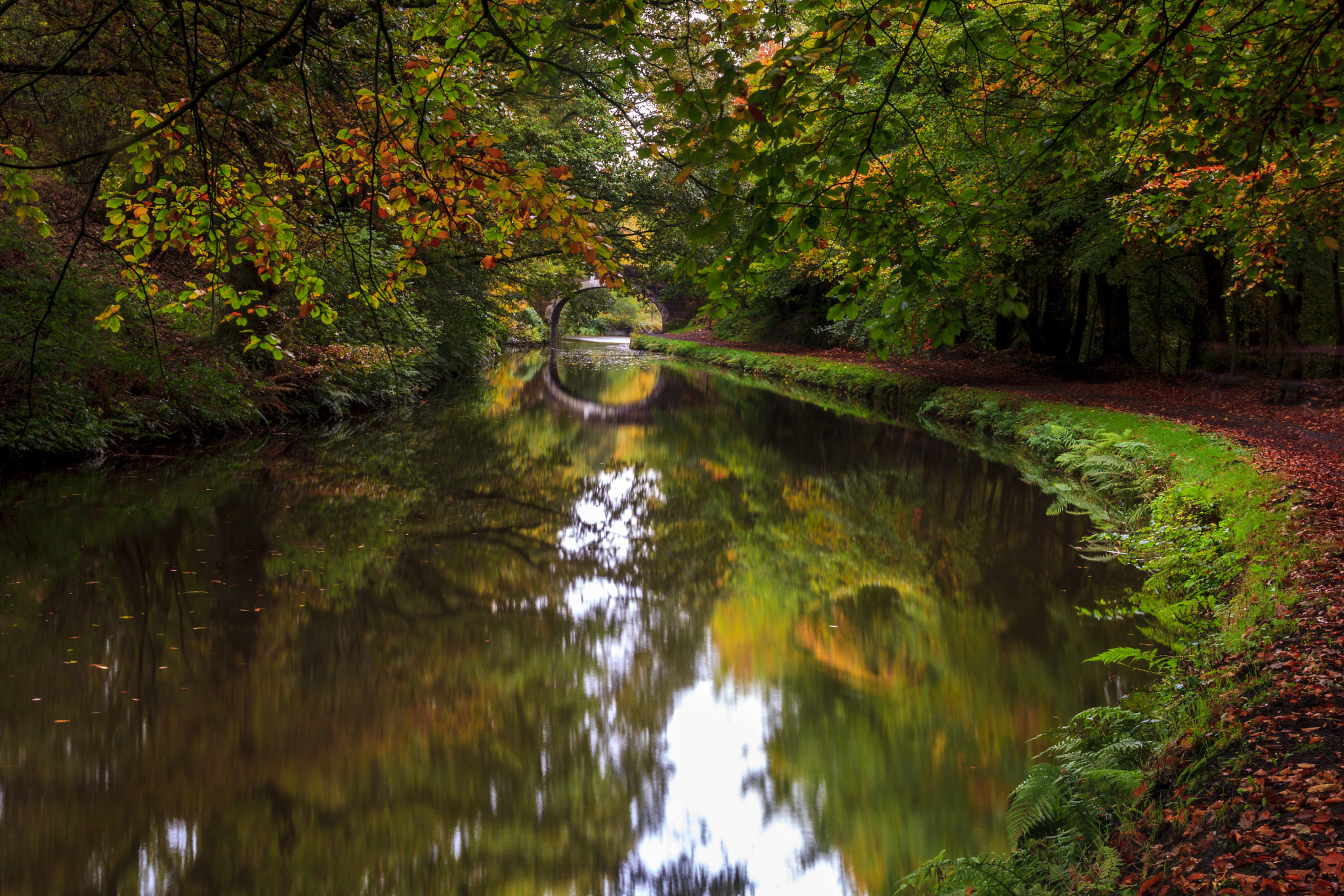 Canon EOS 60D + Sigma 18-50mm f/2.8 Macro sample photo. Autumn photography