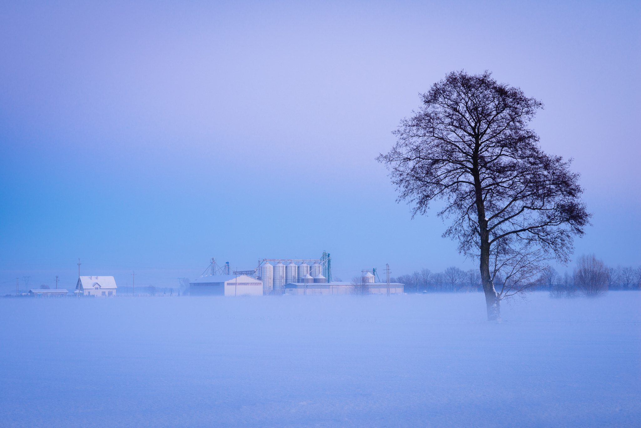 Nikon D800 + Tokina AT-X Pro 100mm F2.8 Macro sample photo. Winter photography