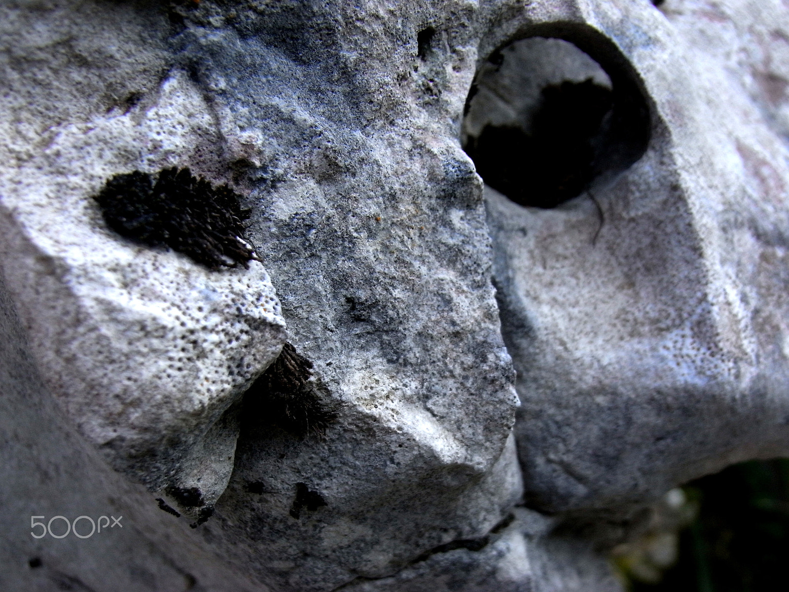 Ricoh Caplio R7 sample photo. Rock face photography