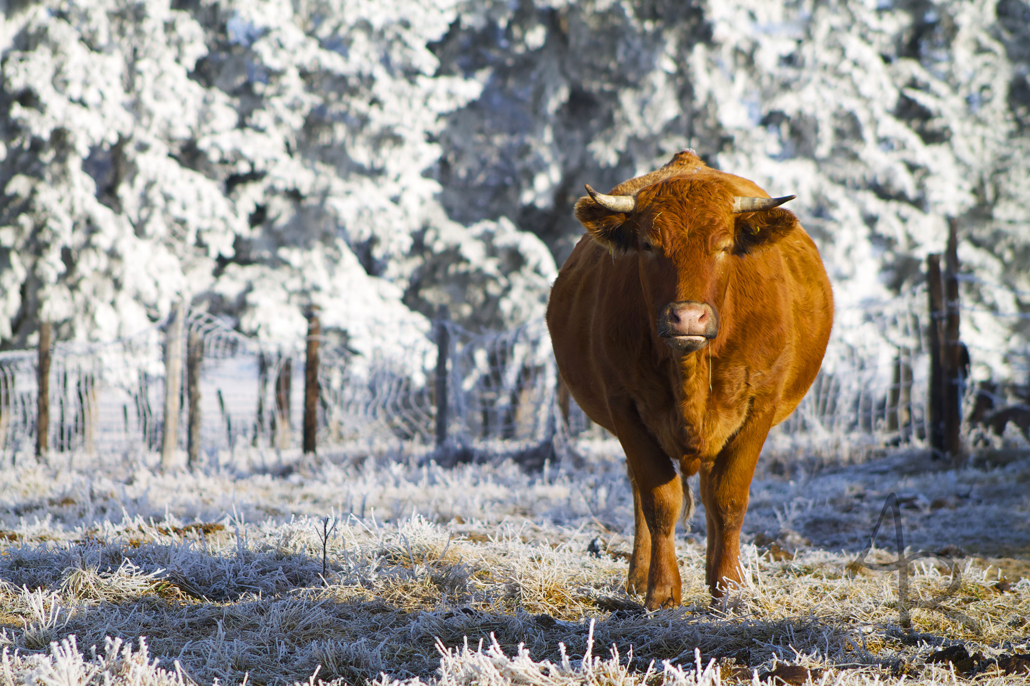 Canon EF 75-300mm f/4-5.6 USM sample photo. Suntanning photography