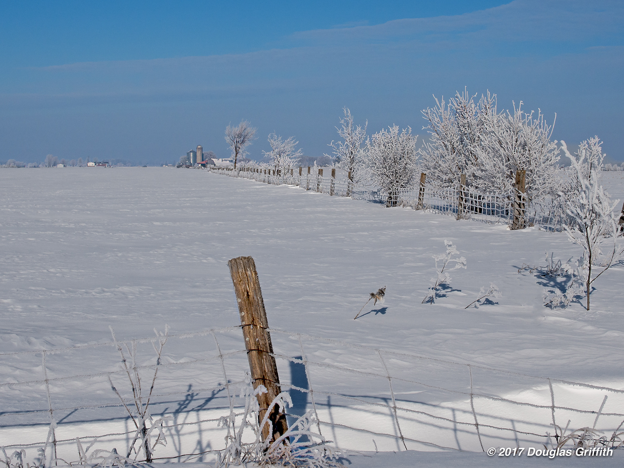 Panasonic Lumix G X Vario 12-35mm F2.8 ASPH Power OIS sample photo. Hoar frost winterscape photography