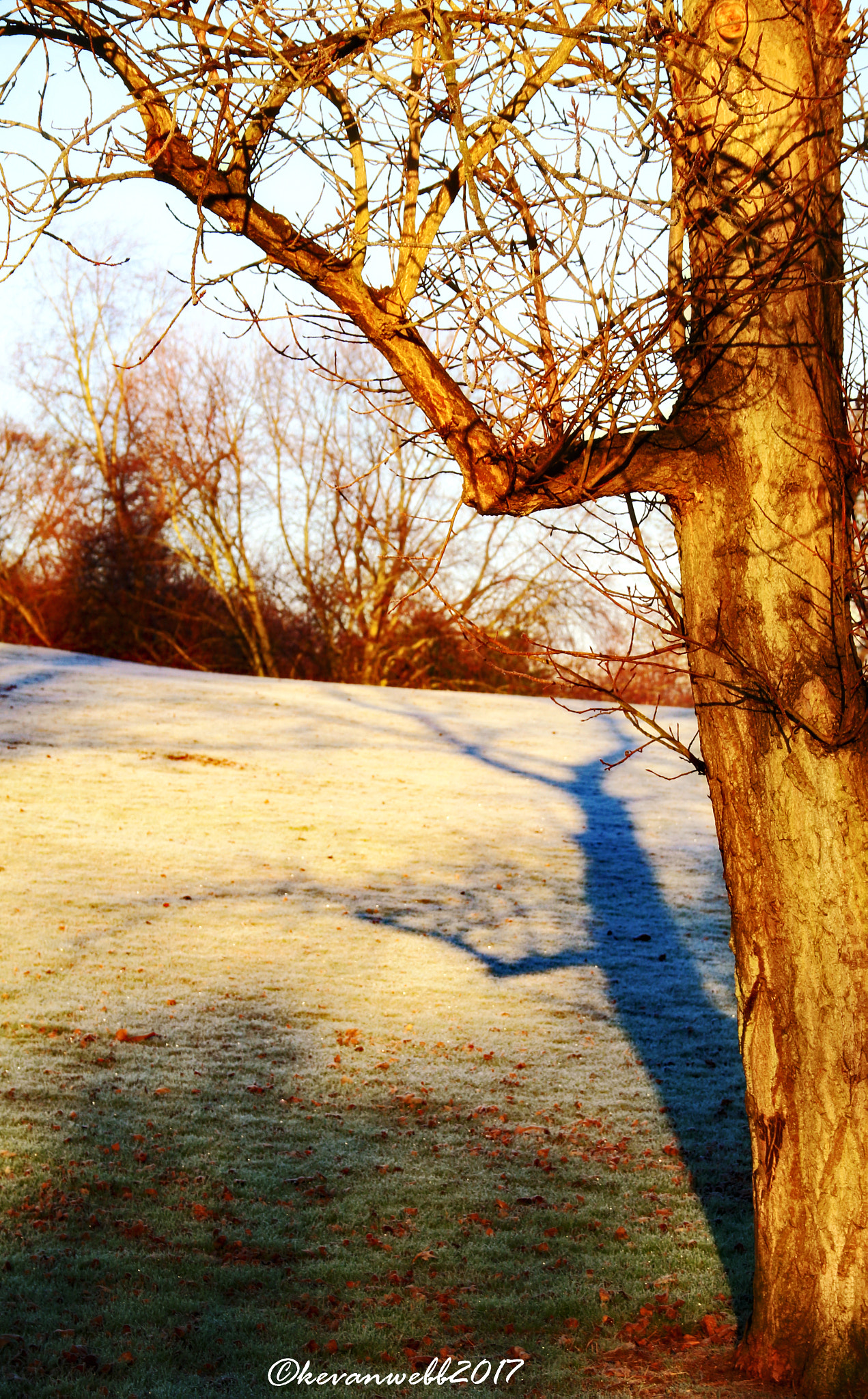 Canon EOS 760D (EOS Rebel T6s / EOS 8000D) sample photo. Winter shadows photography