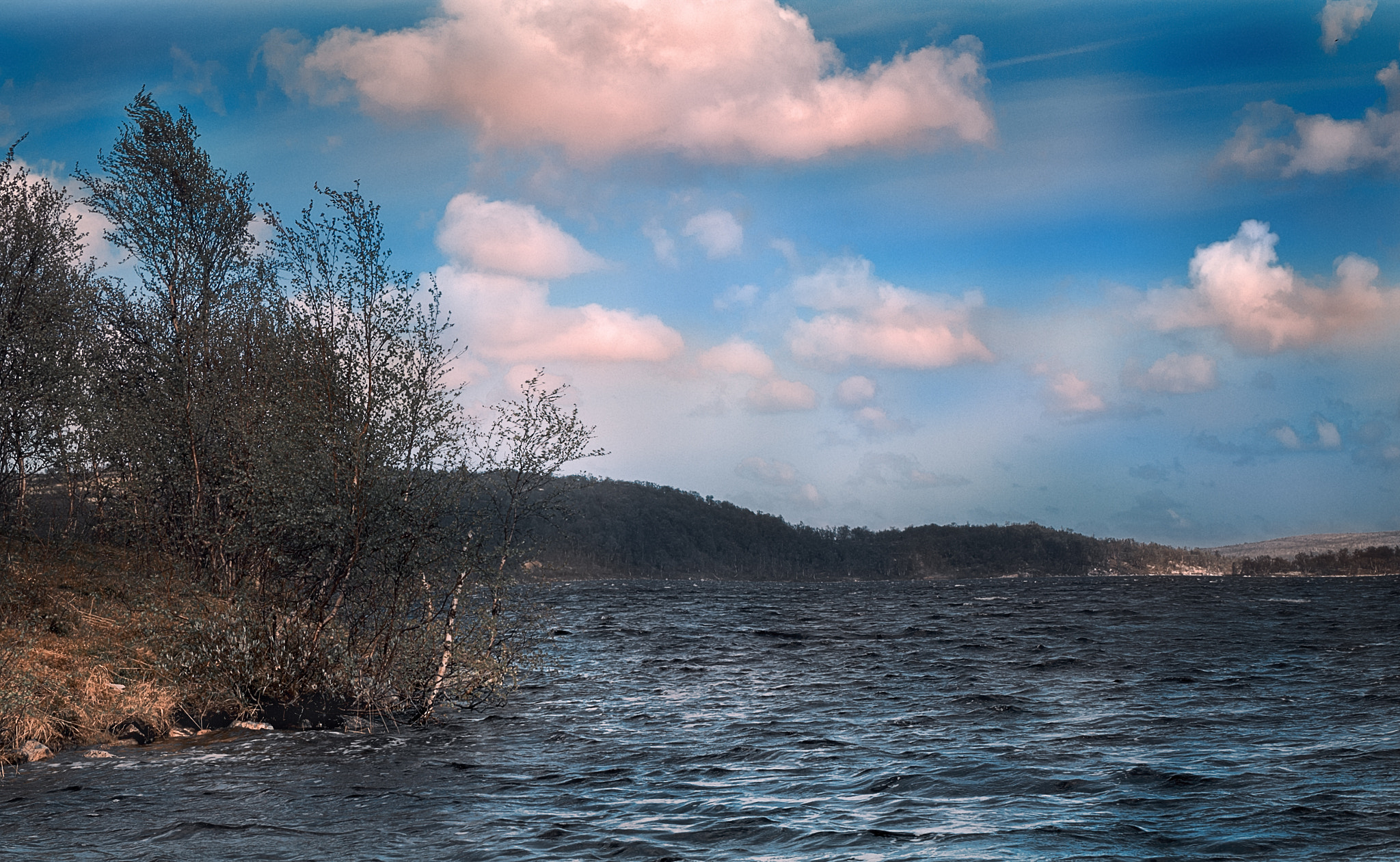 Olympus OM-D E-M5 II sample photo. The nature of the north photography