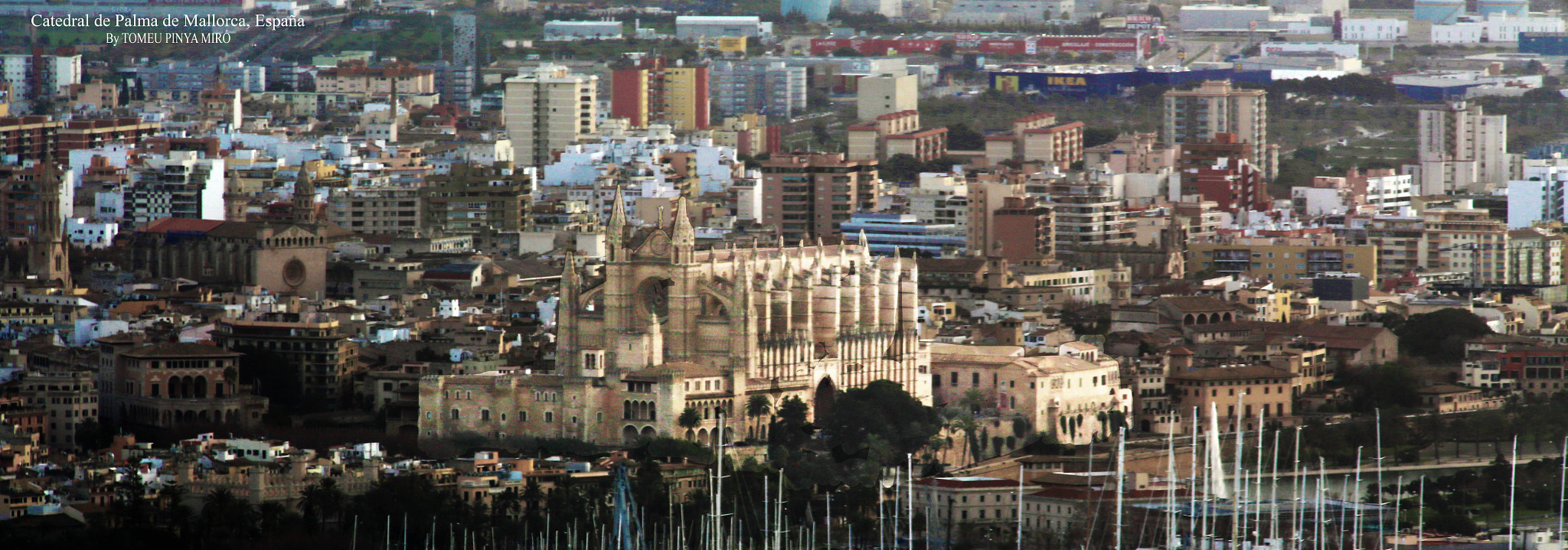 Tamron SP AF 70-200mm F2.8 Di LD (IF) MACRO sample photo. Catedral palma de mallorca, españa photography