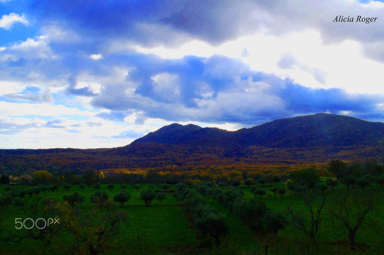 Samsung ST30 sample photo. Mount abastos photography